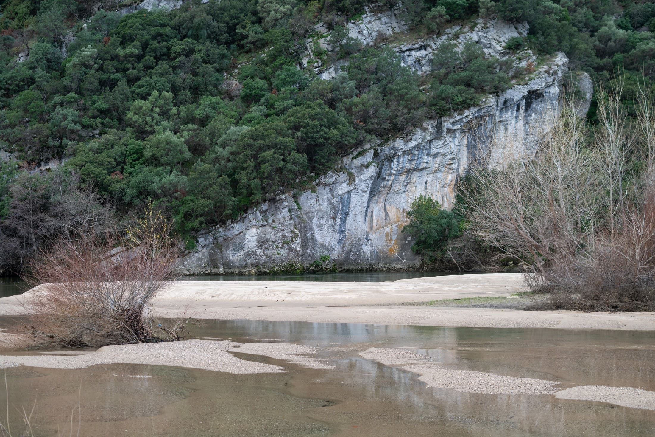 Alt text not provided