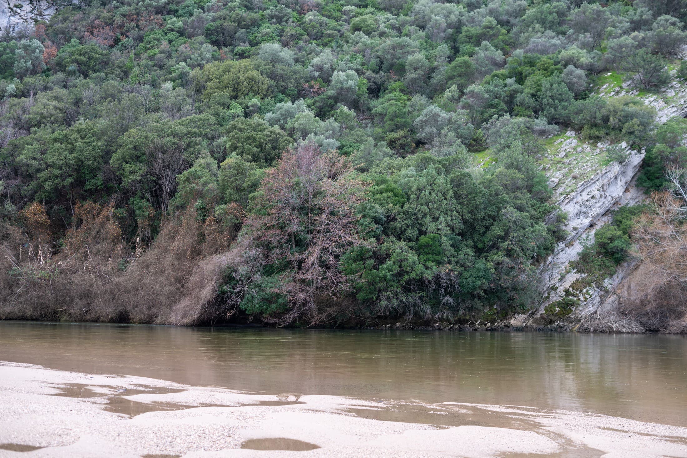 Alt text not provided