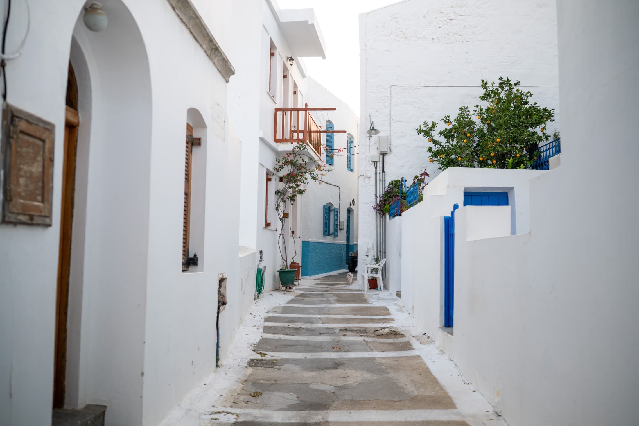 Alt text not provided