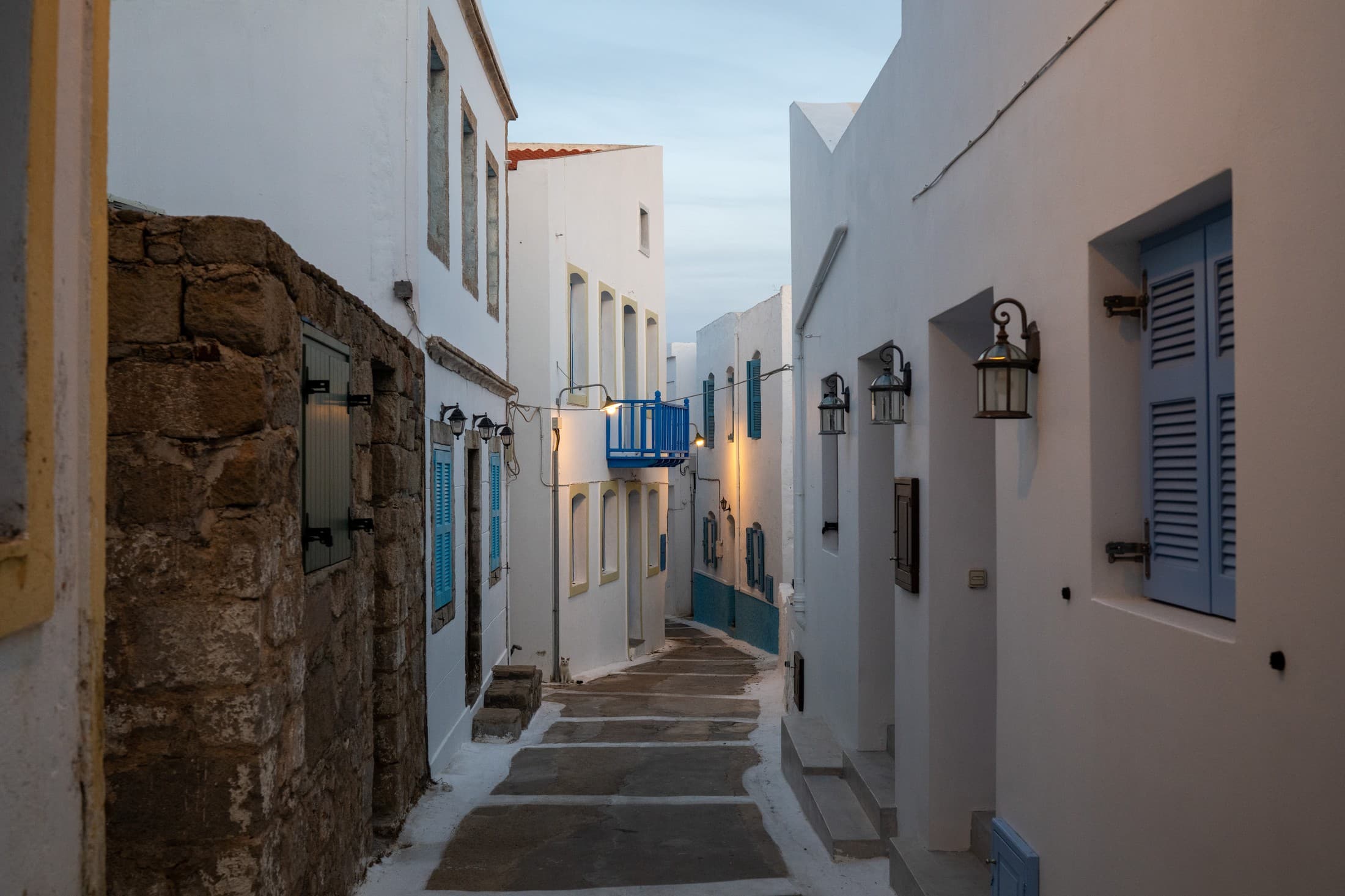 Alt text not provided