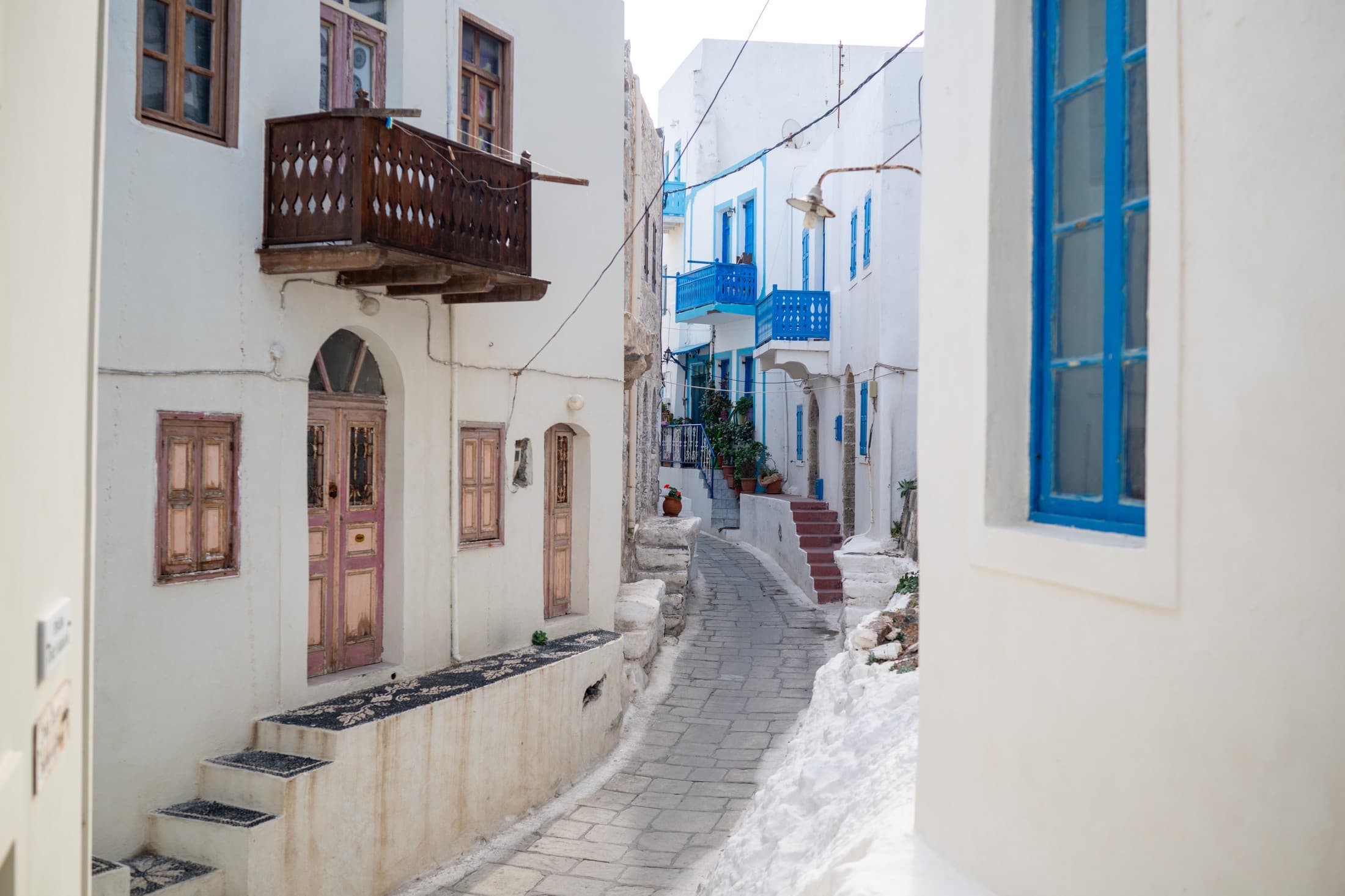 Alt text not provided