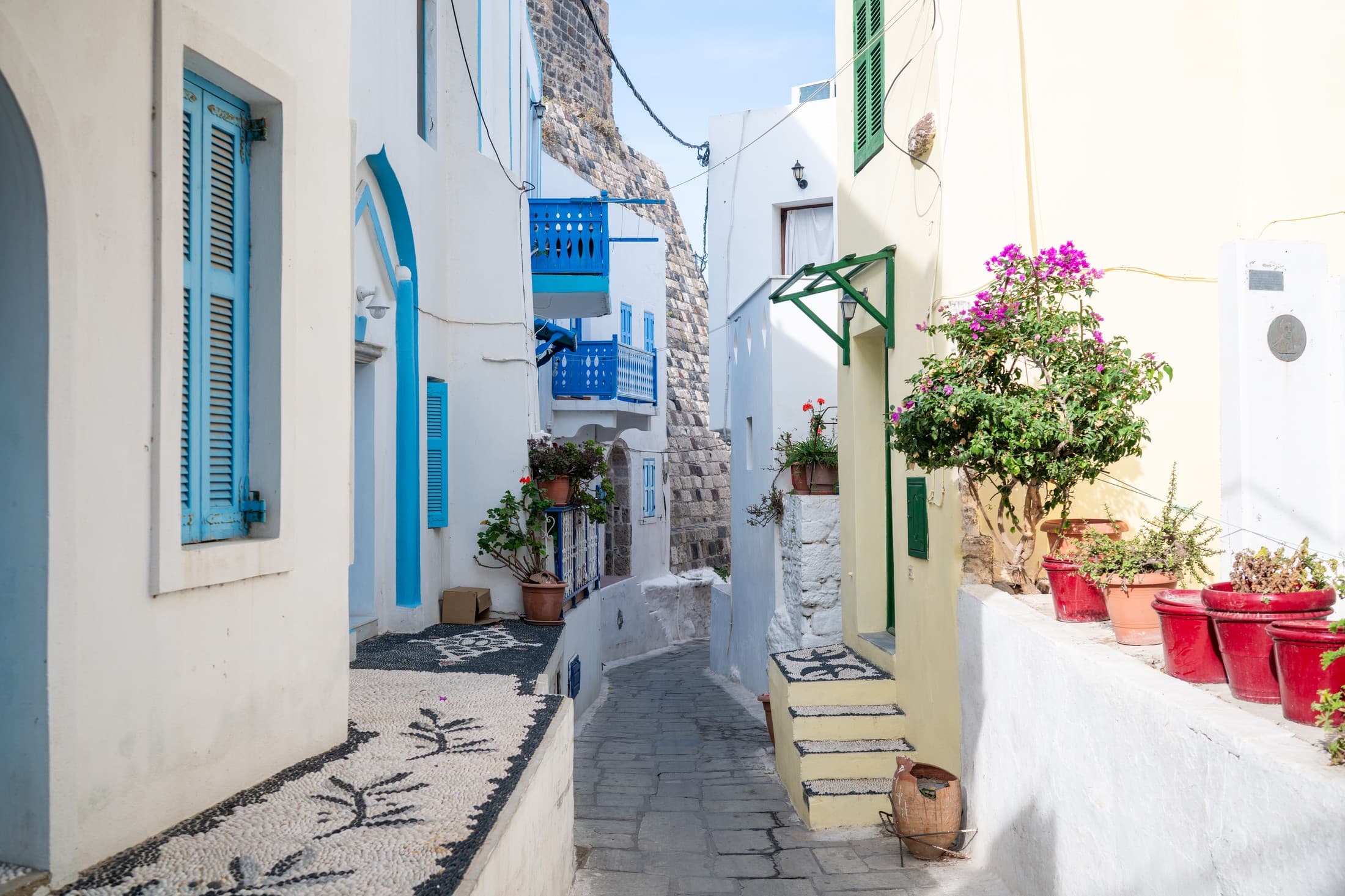 Alt text not provided