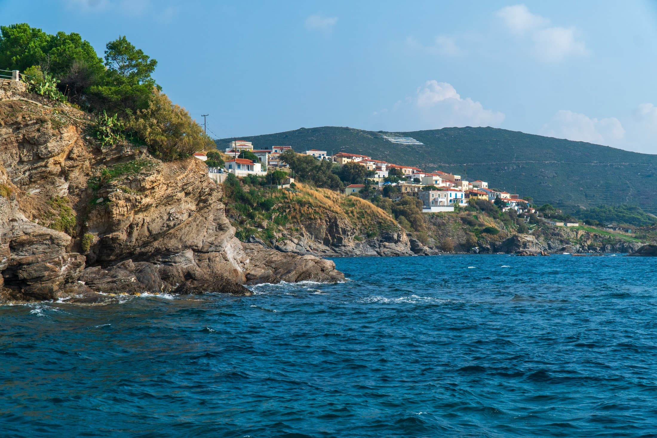 Alt text not provided