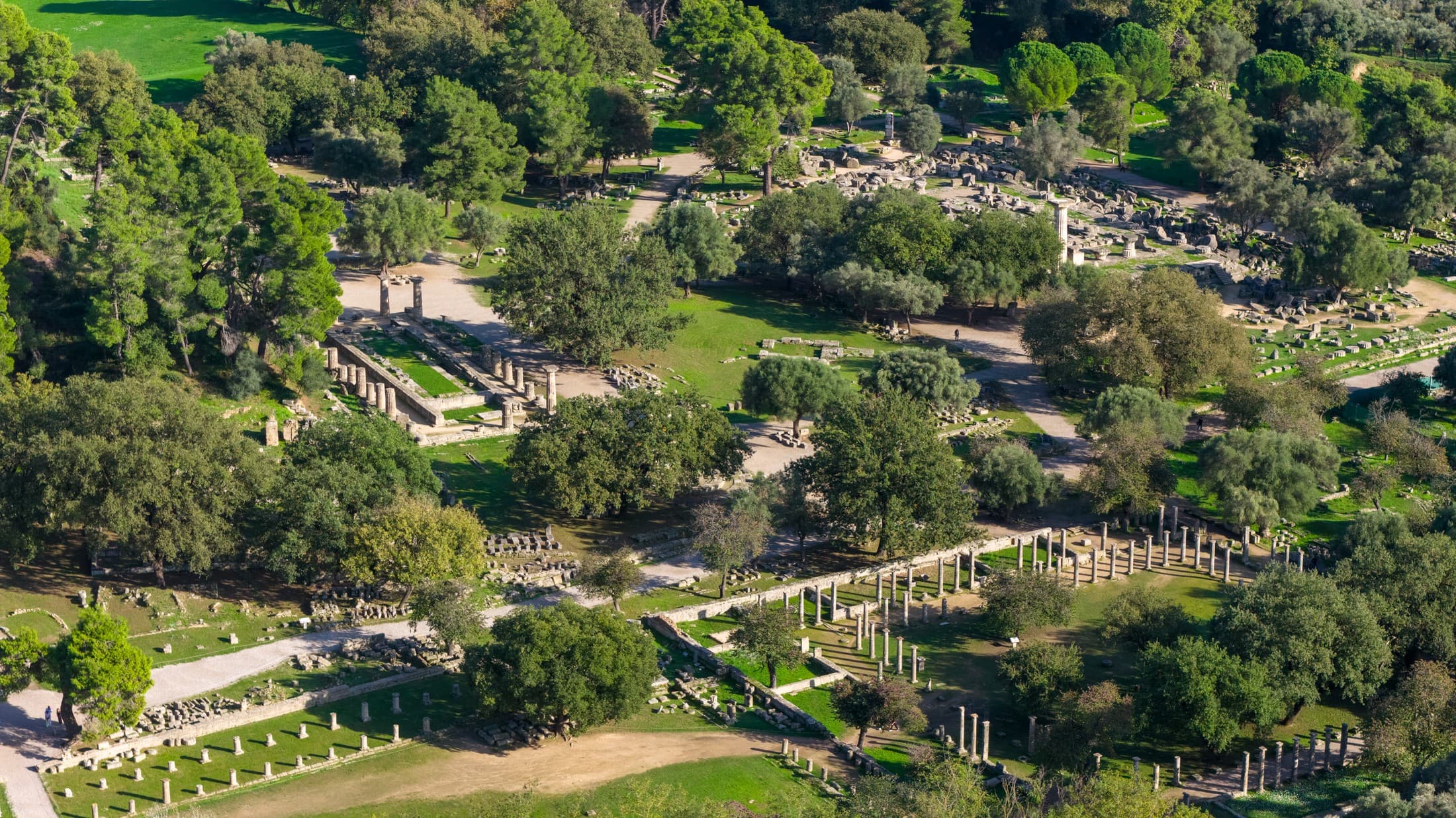 Alt text not provided