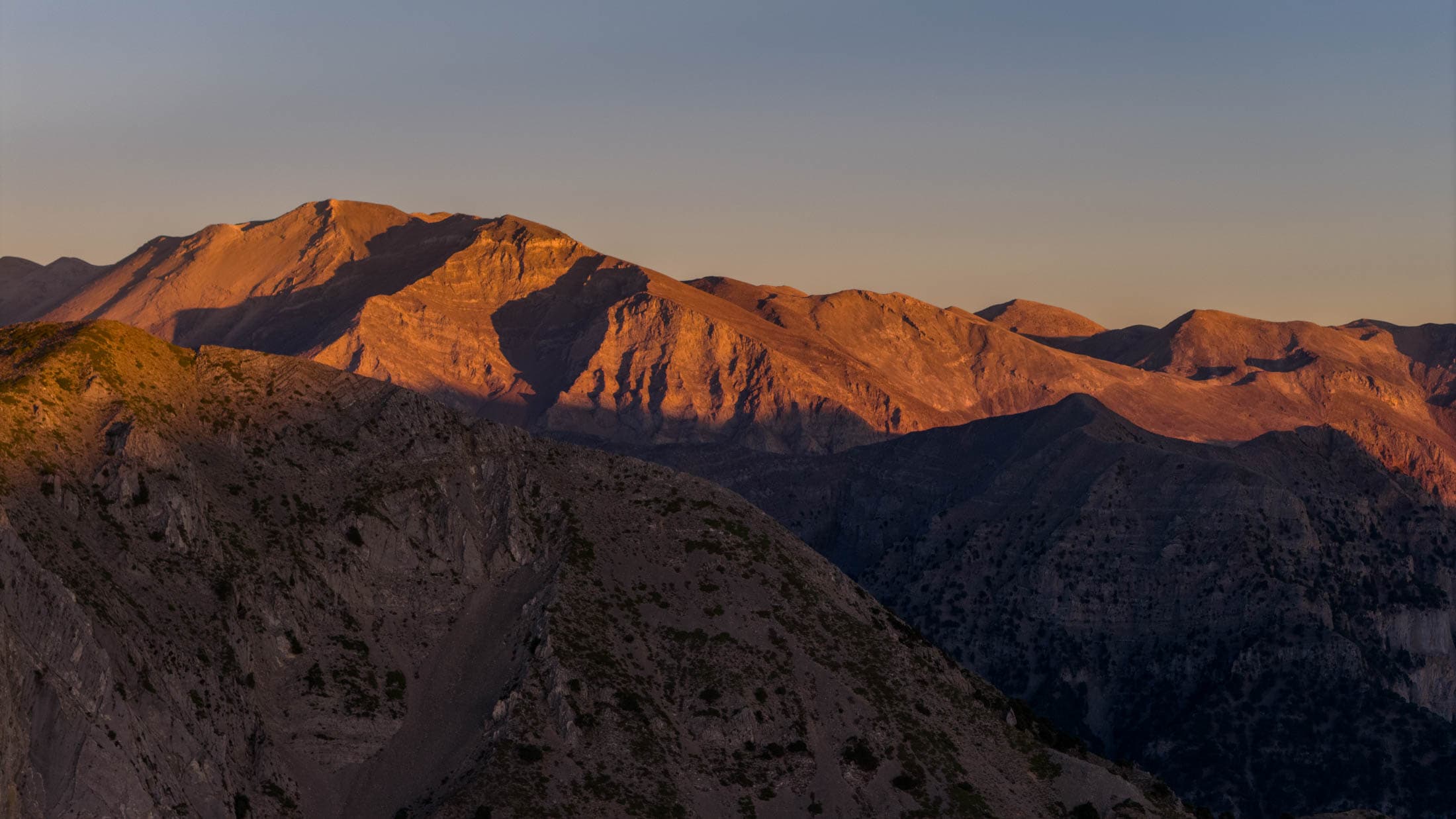 Alt text not provided