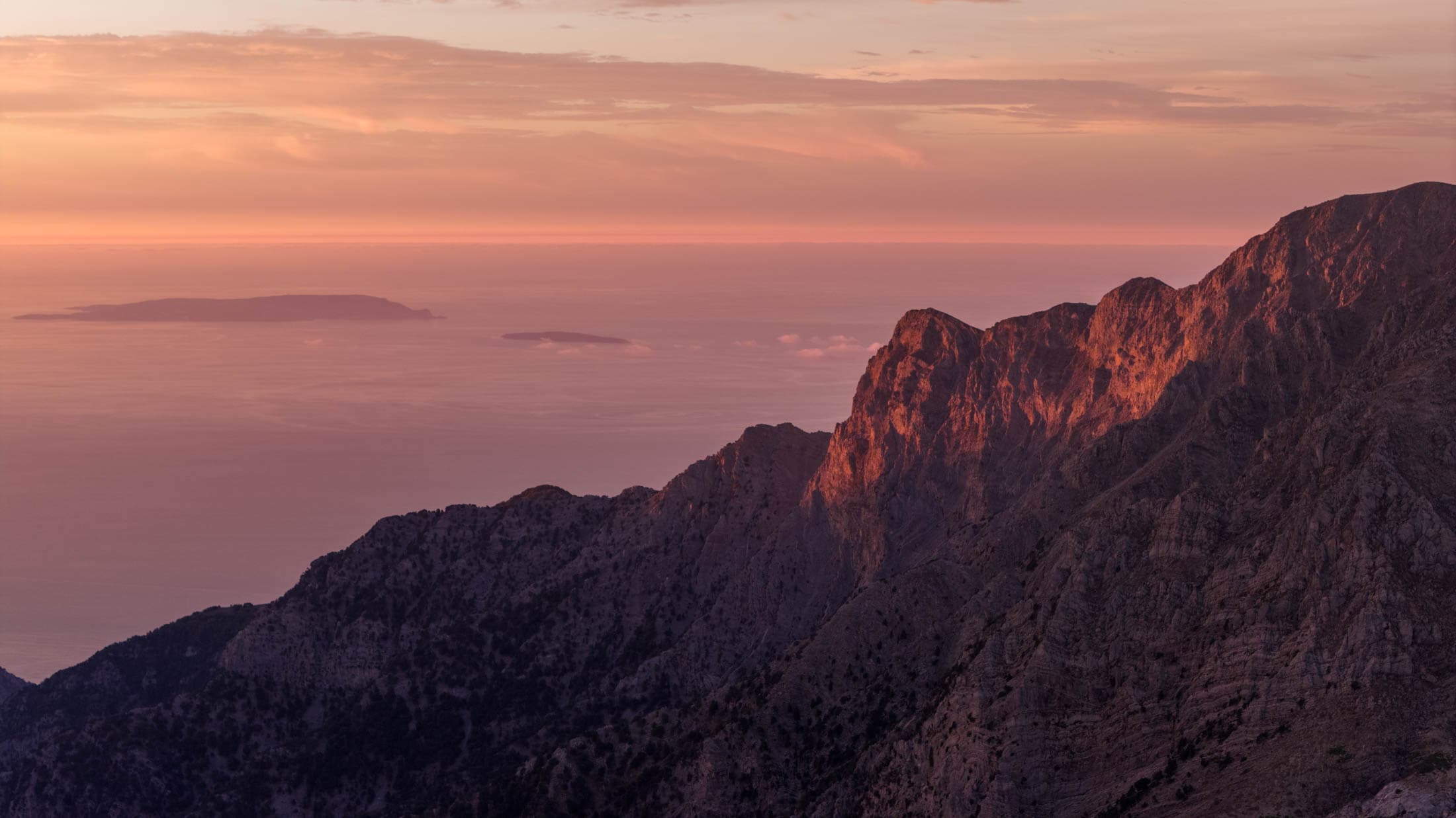 Alt text not provided