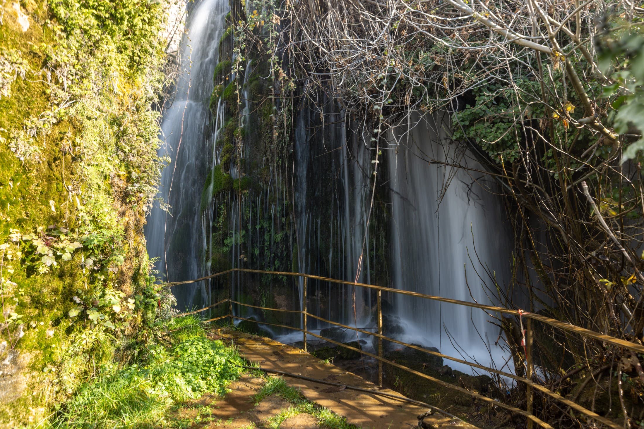 Alt text not provided