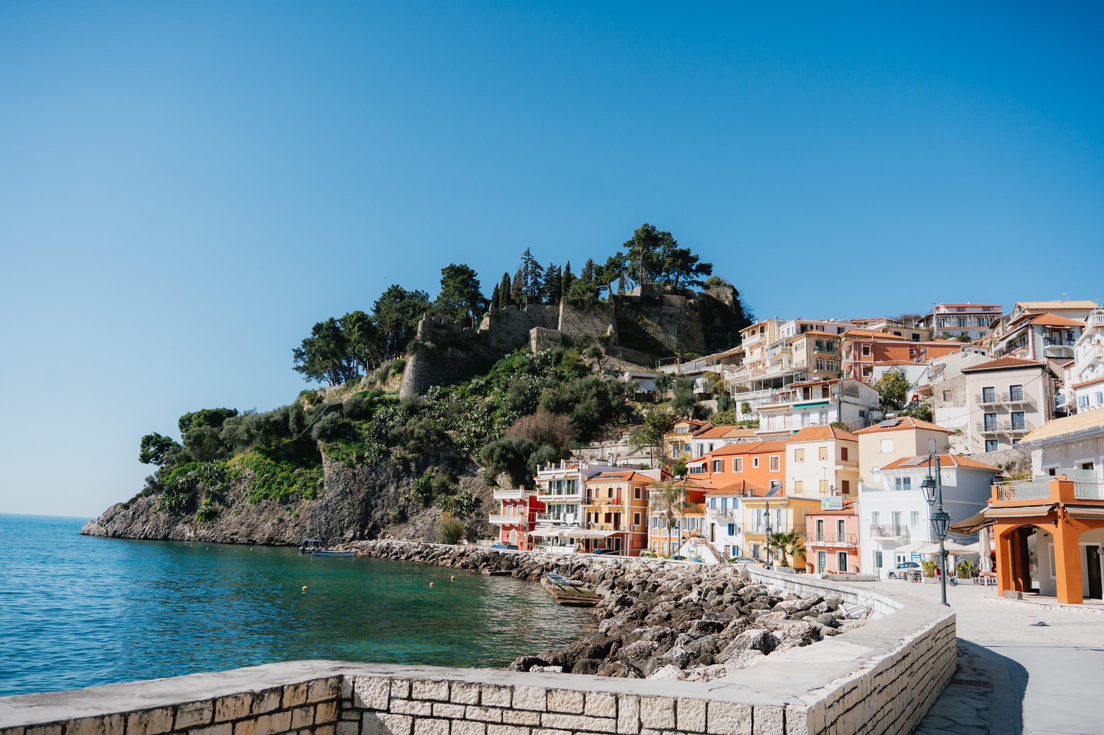 Alt text not provided