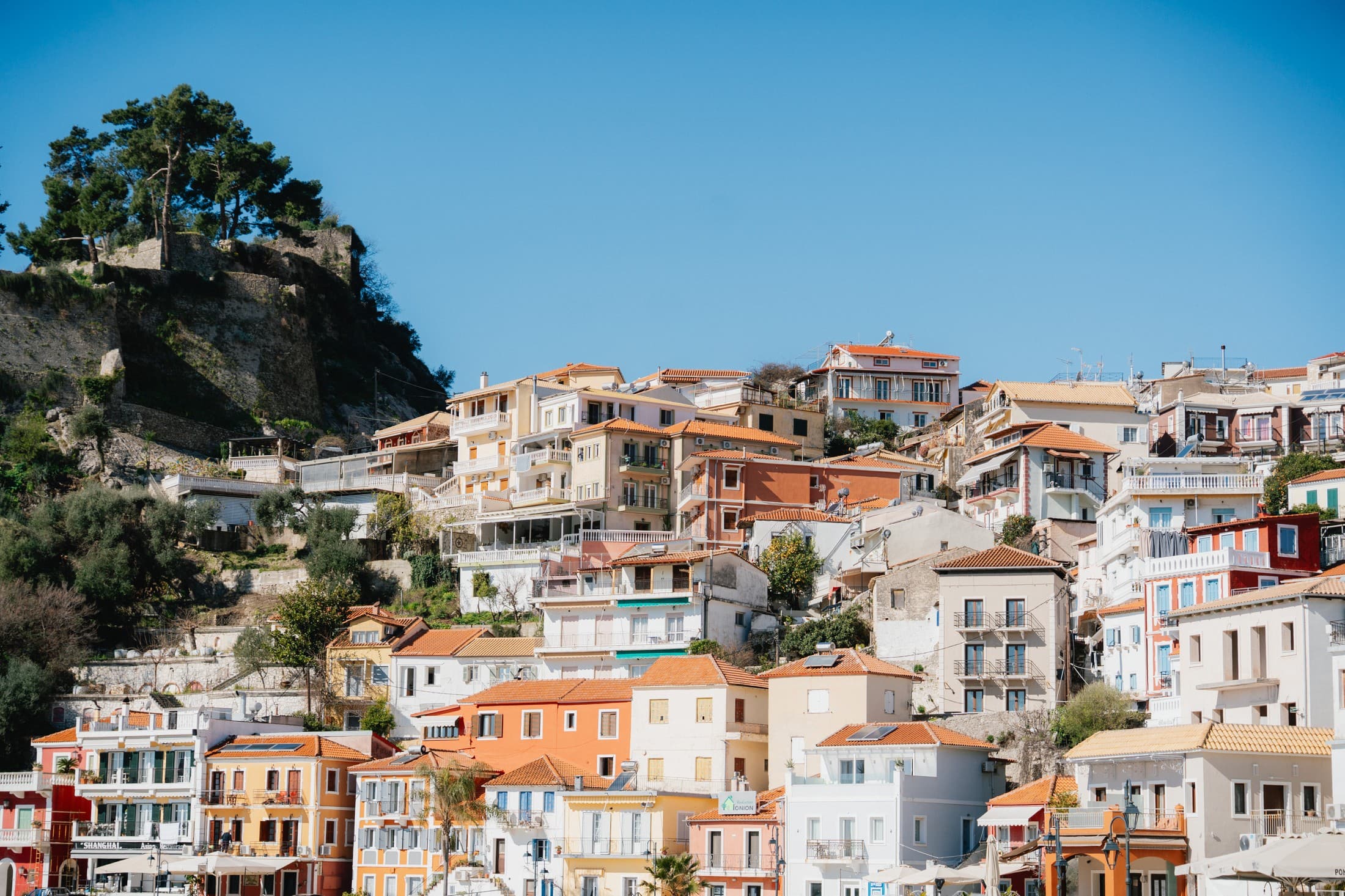 Alt text not provided