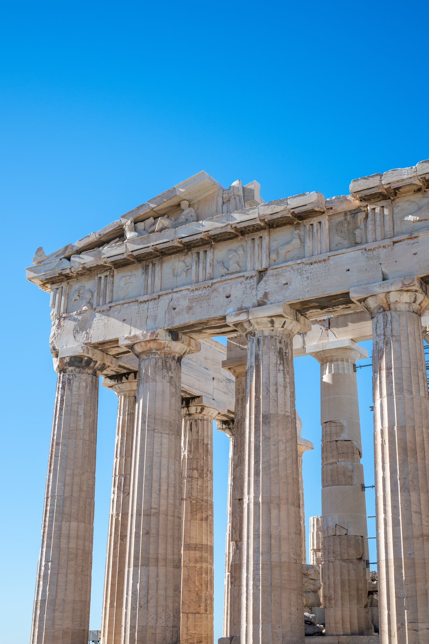 Alt text not provided