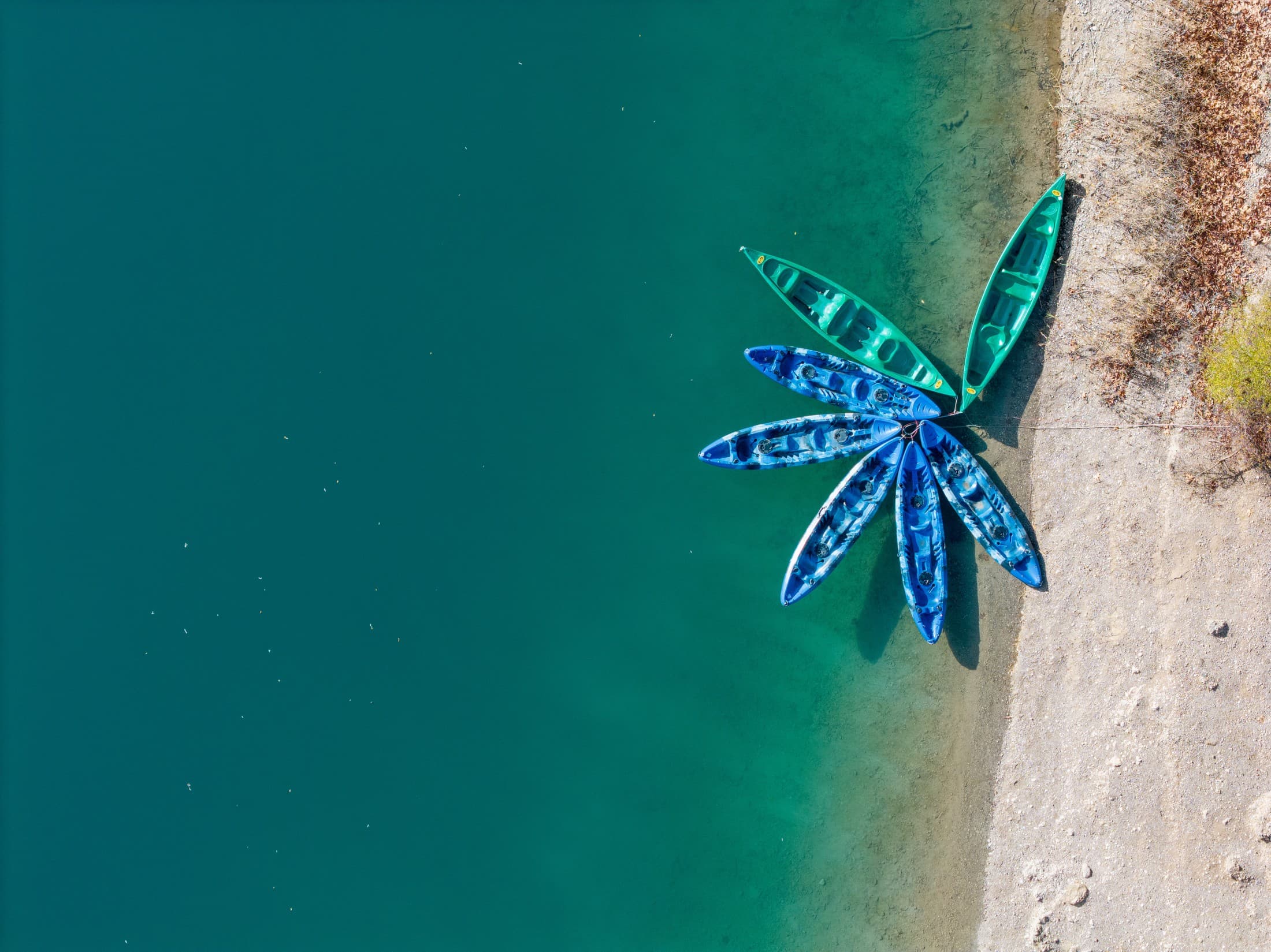 Alt text not provided