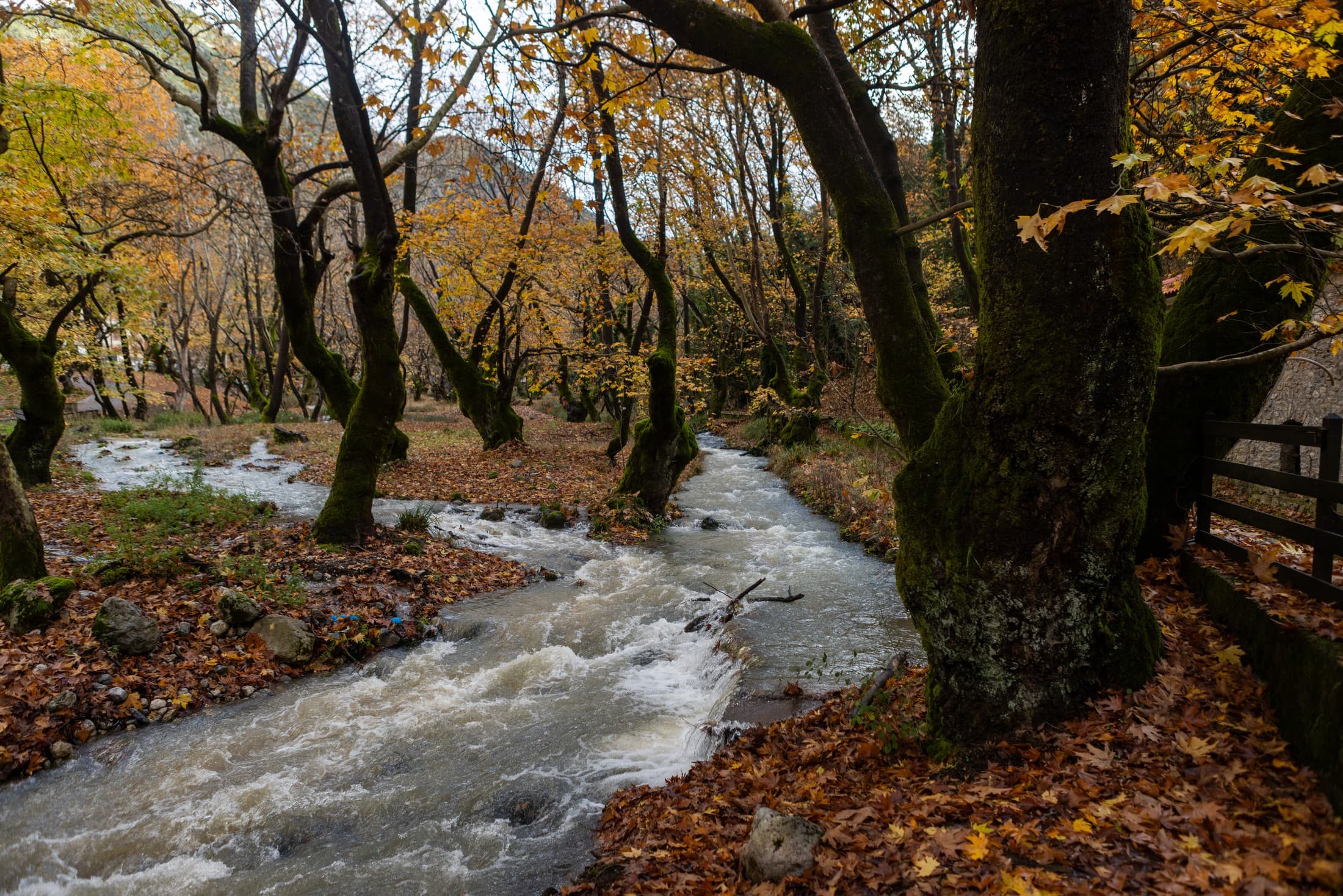 Alt text not provided