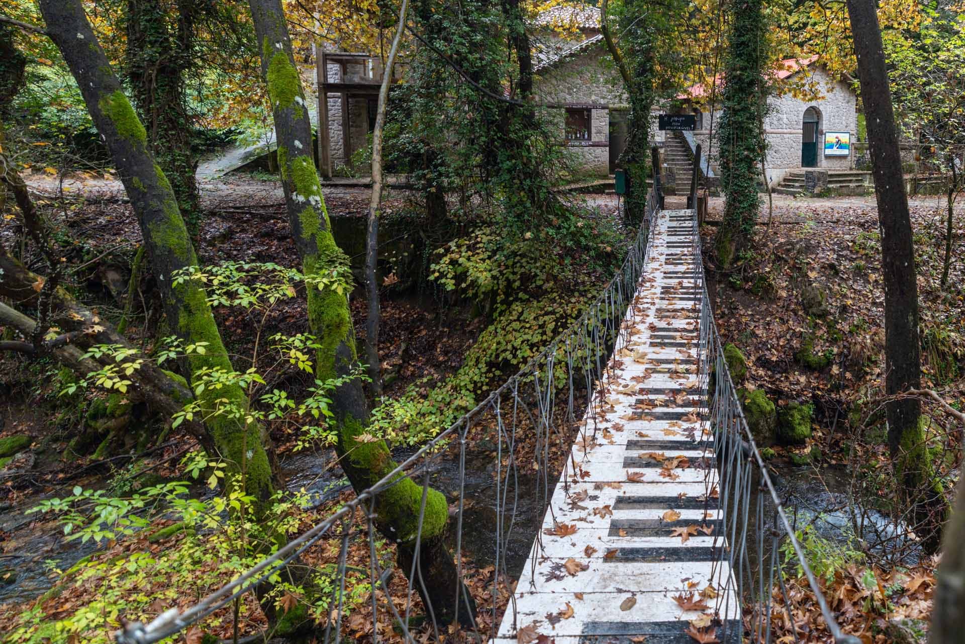 Pavliani Park