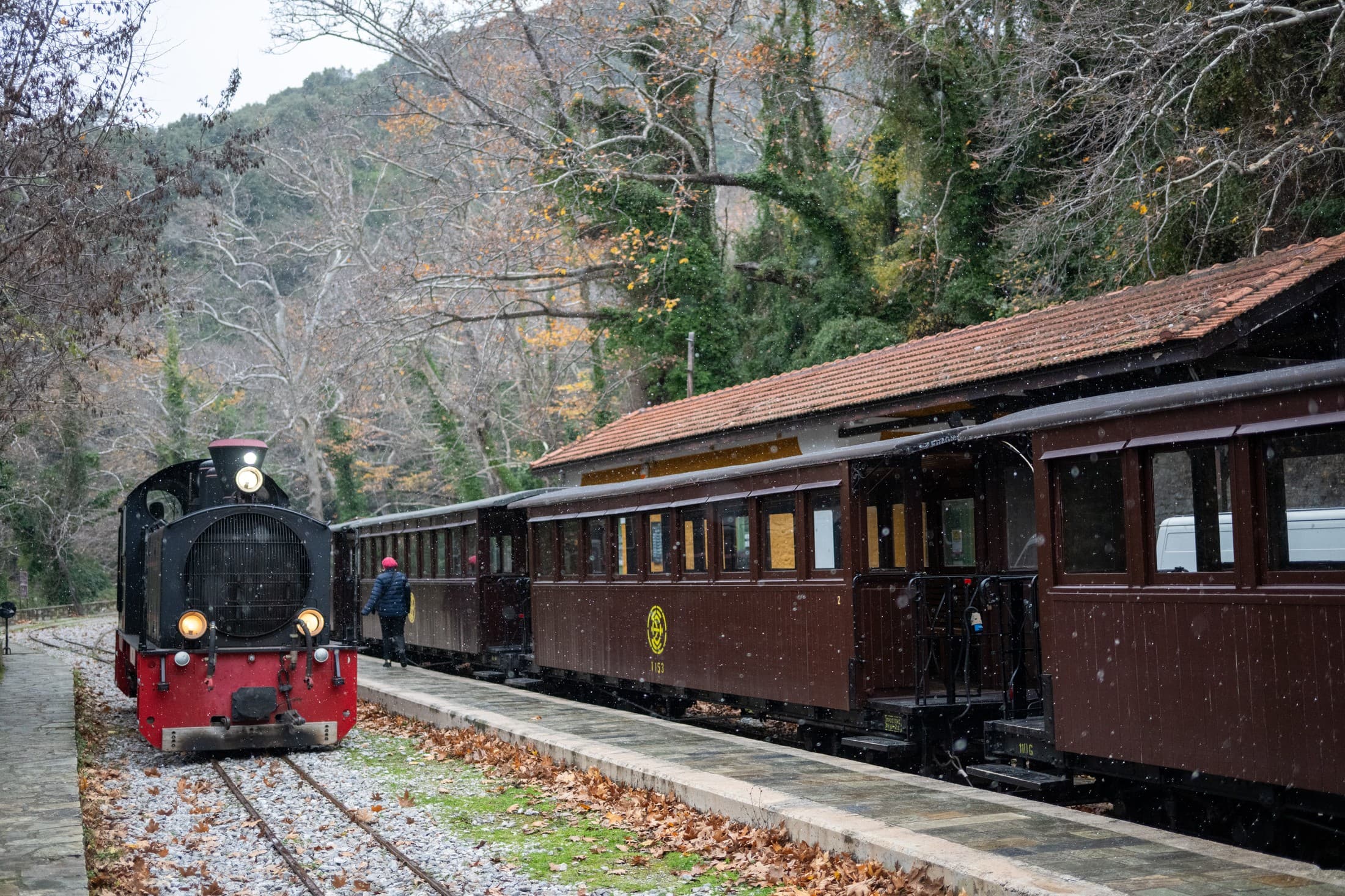 Alt text not provided