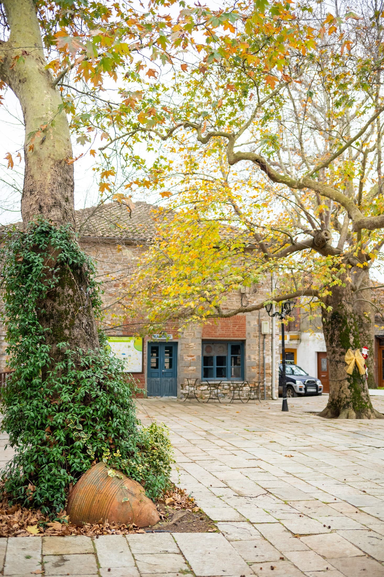 Alt text not provided