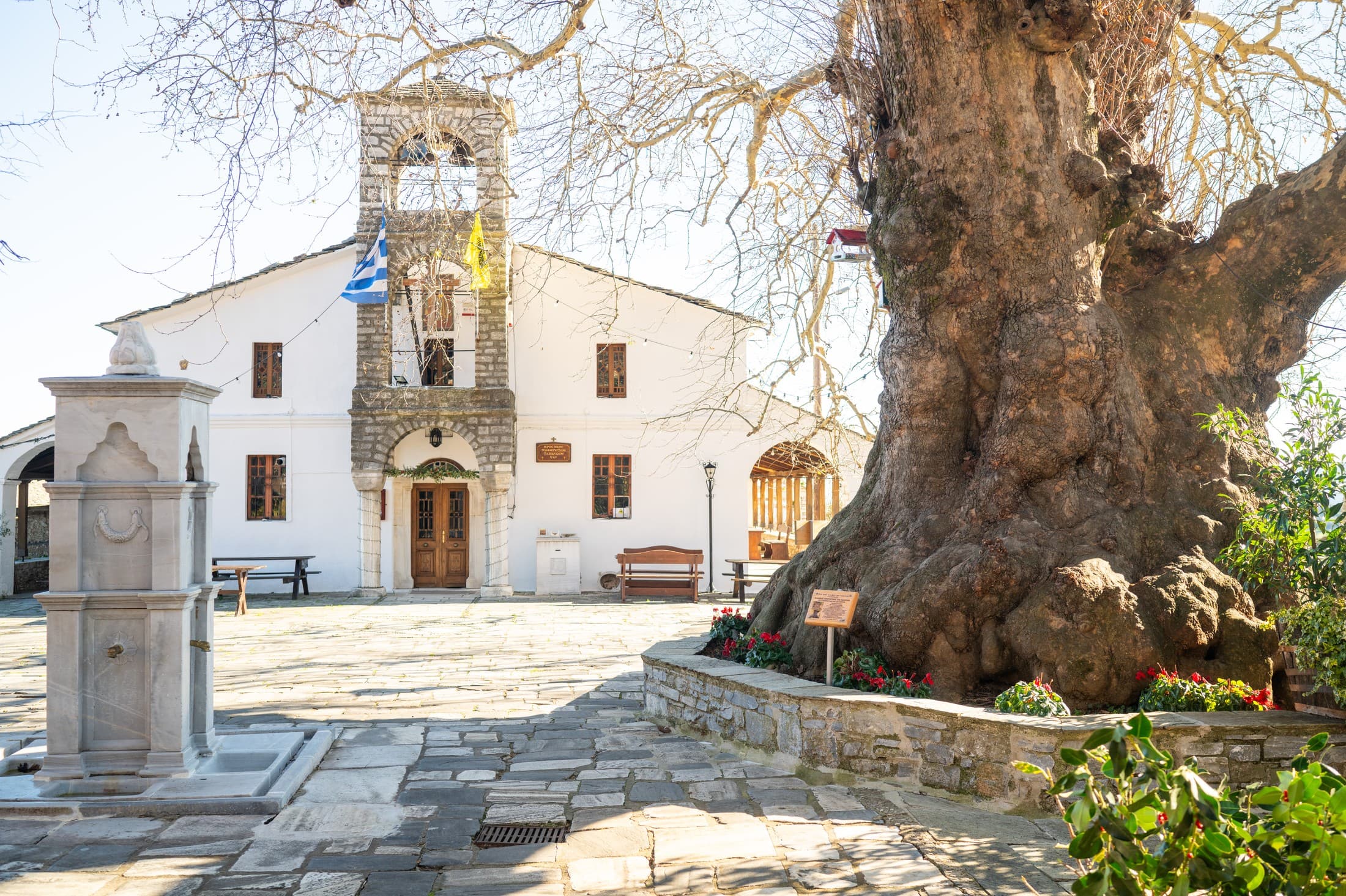 Alt text not provided