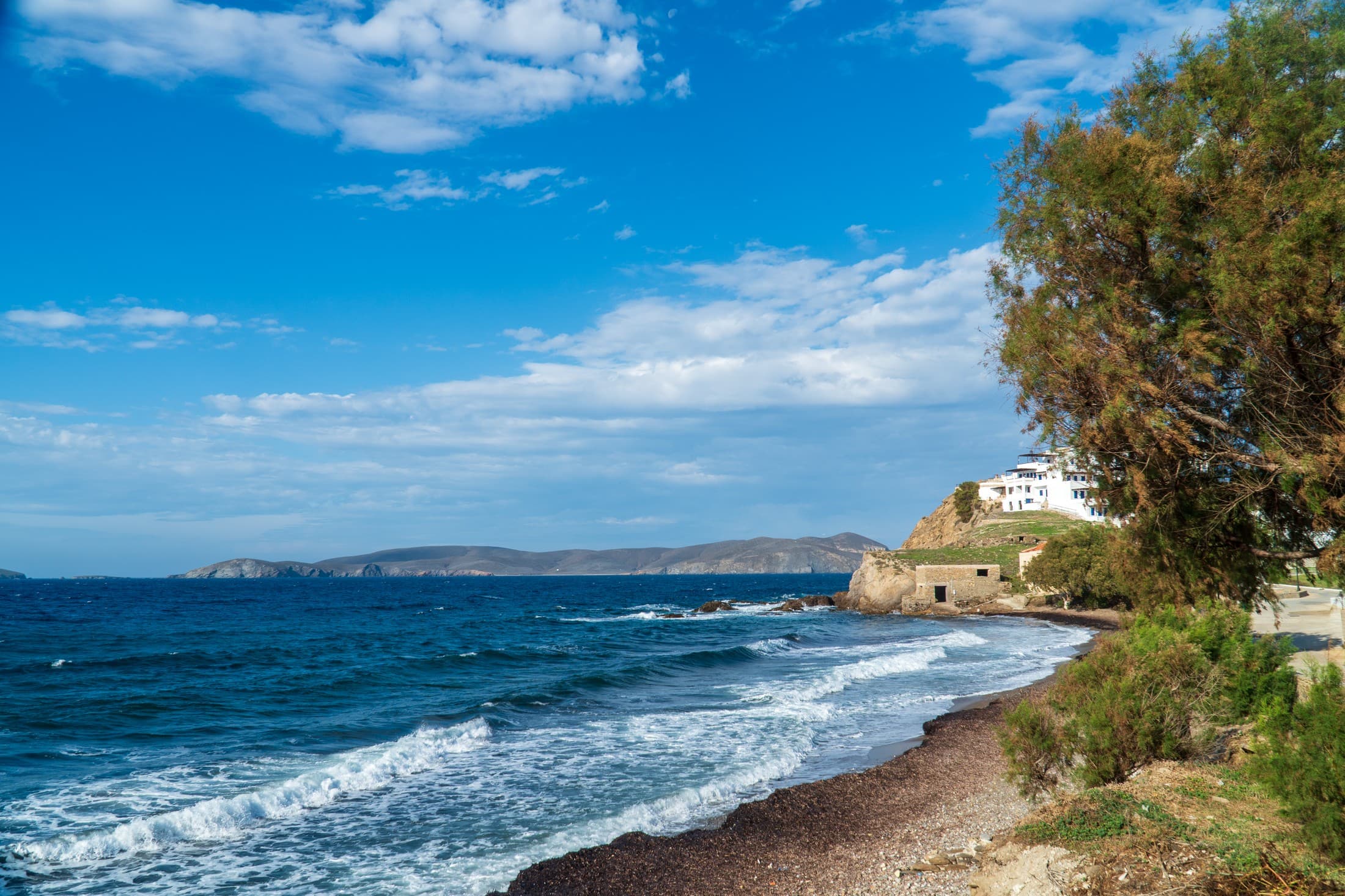 Alt text not provided