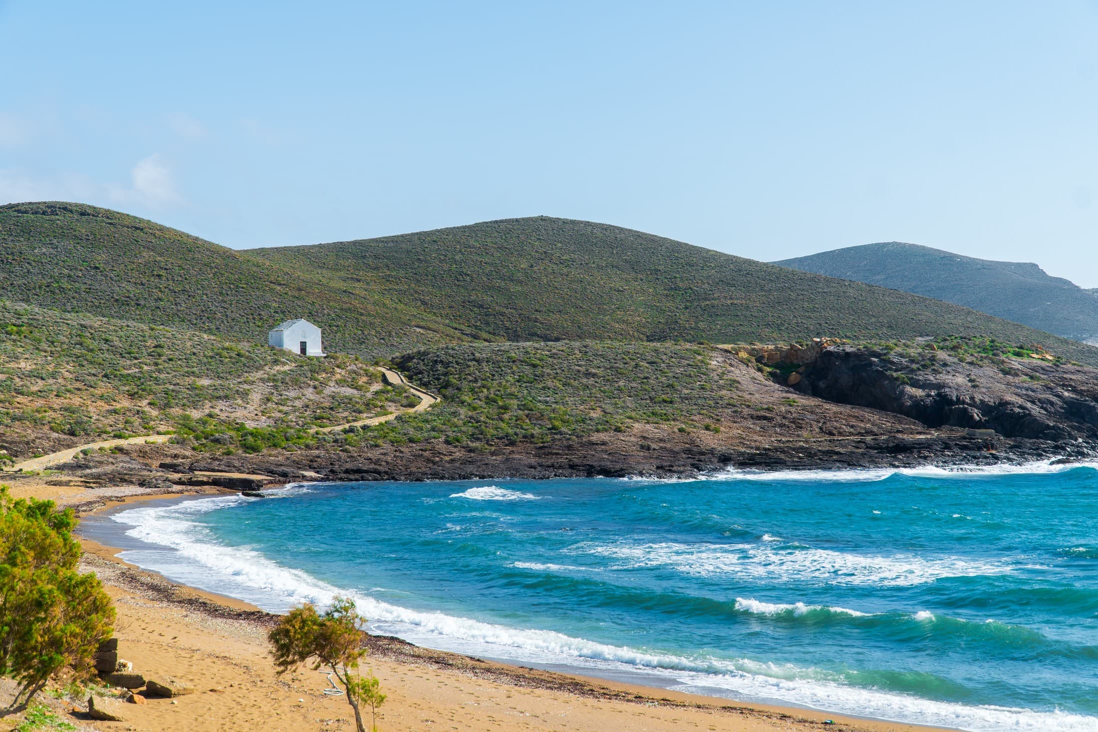 Alt text not provided