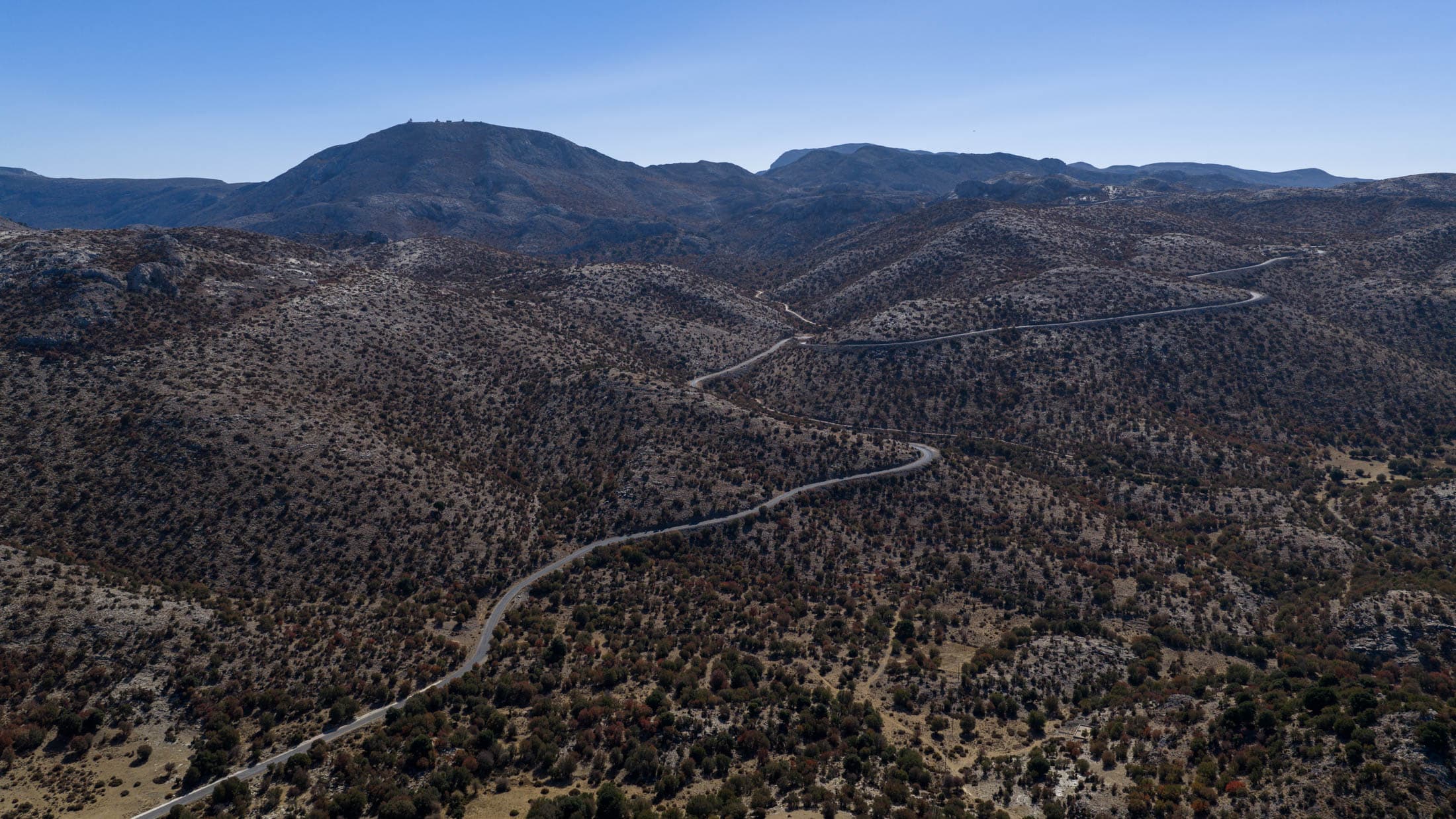 Alt text not provided