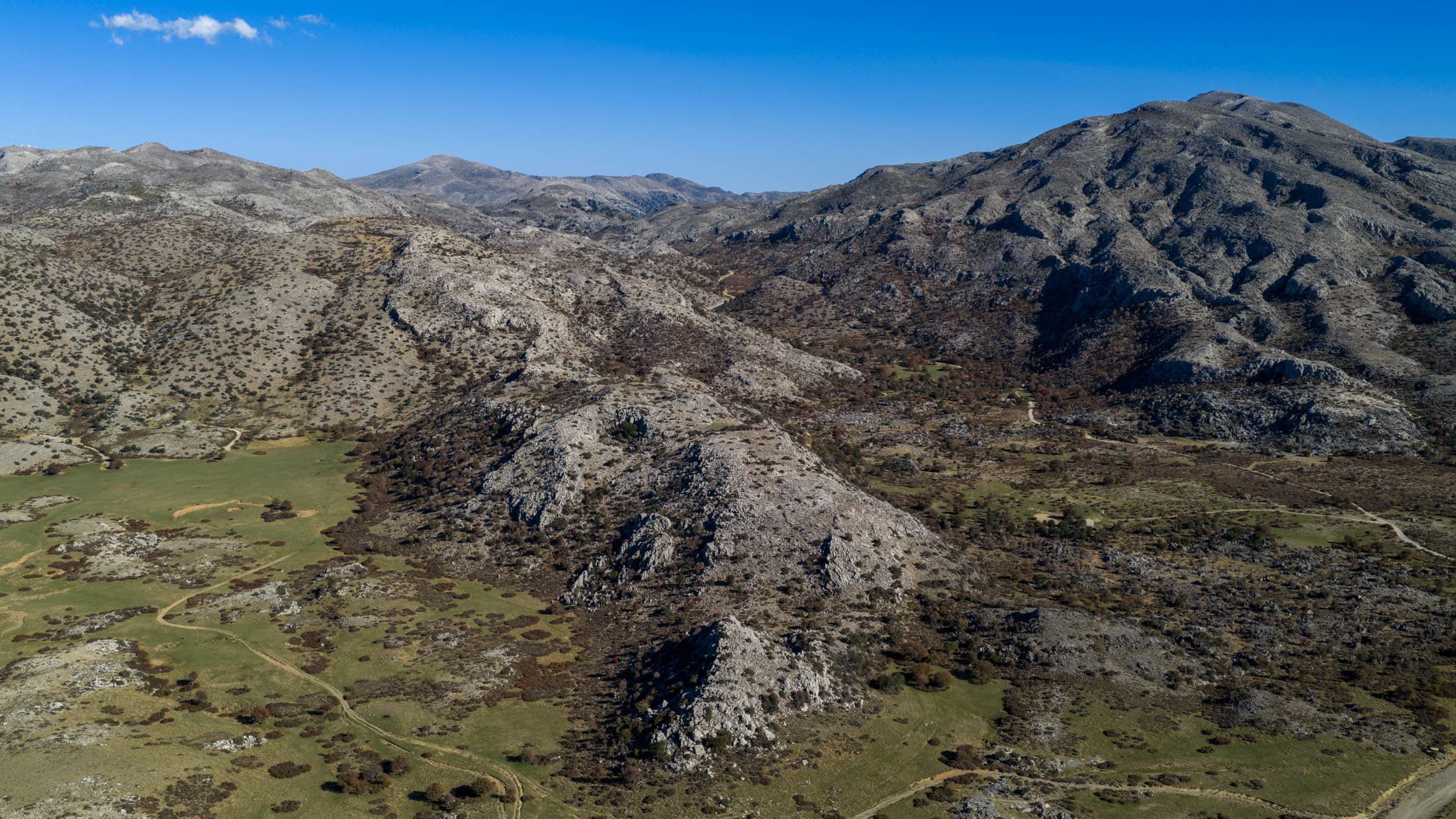 Alt text not provided