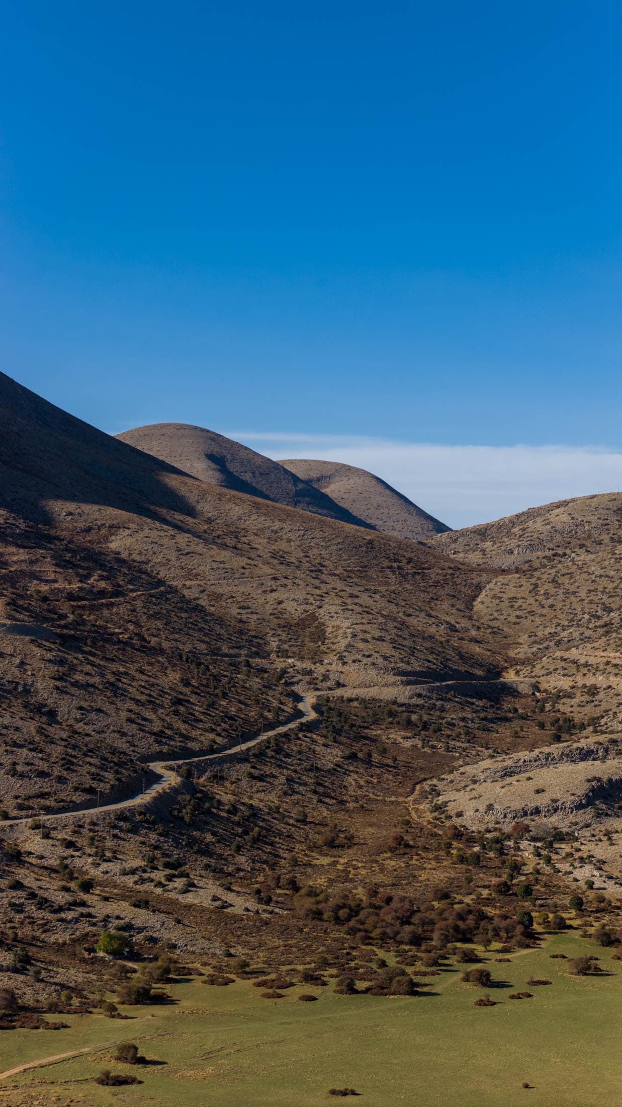 Alt text not provided