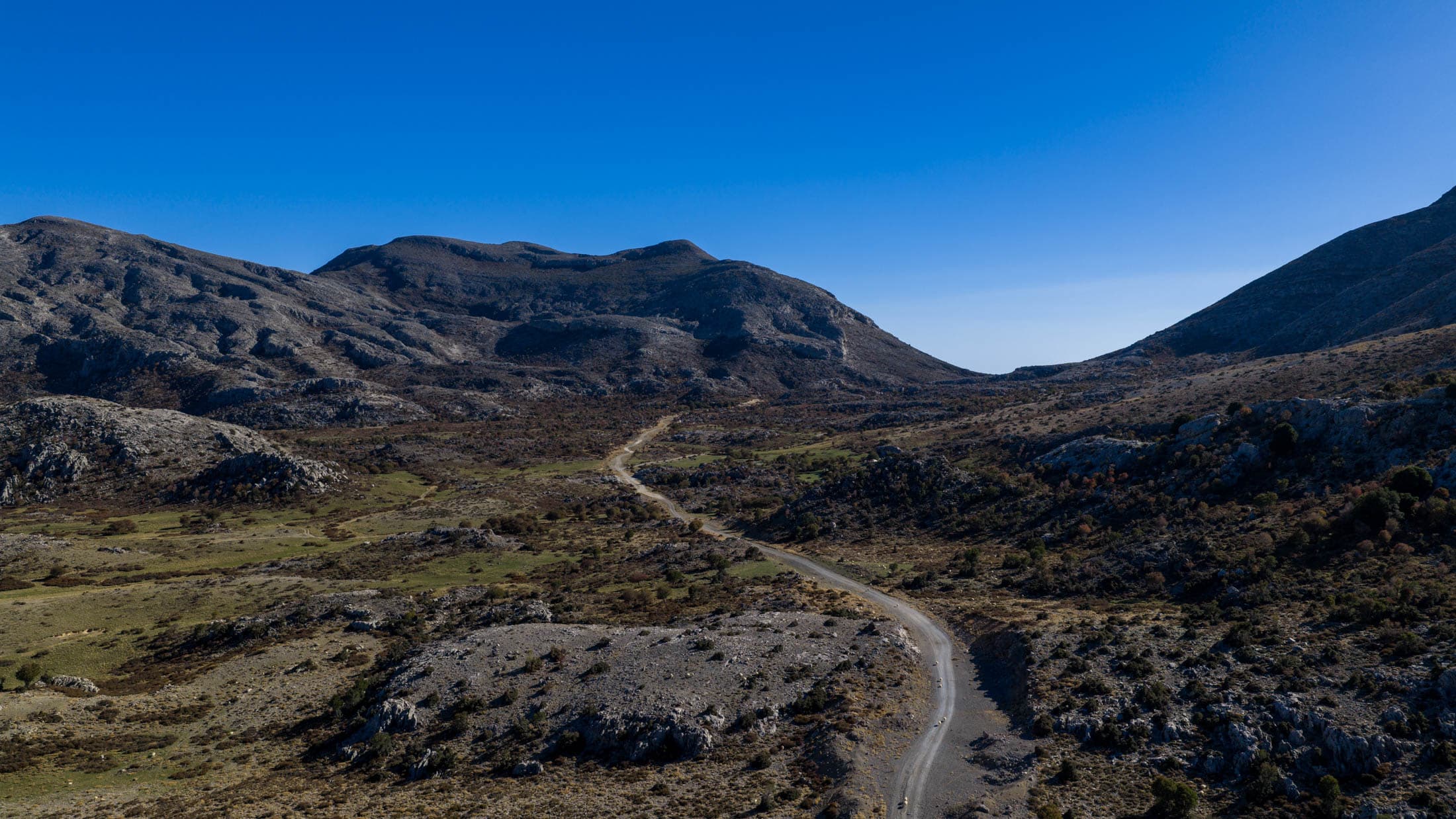 Alt text not provided