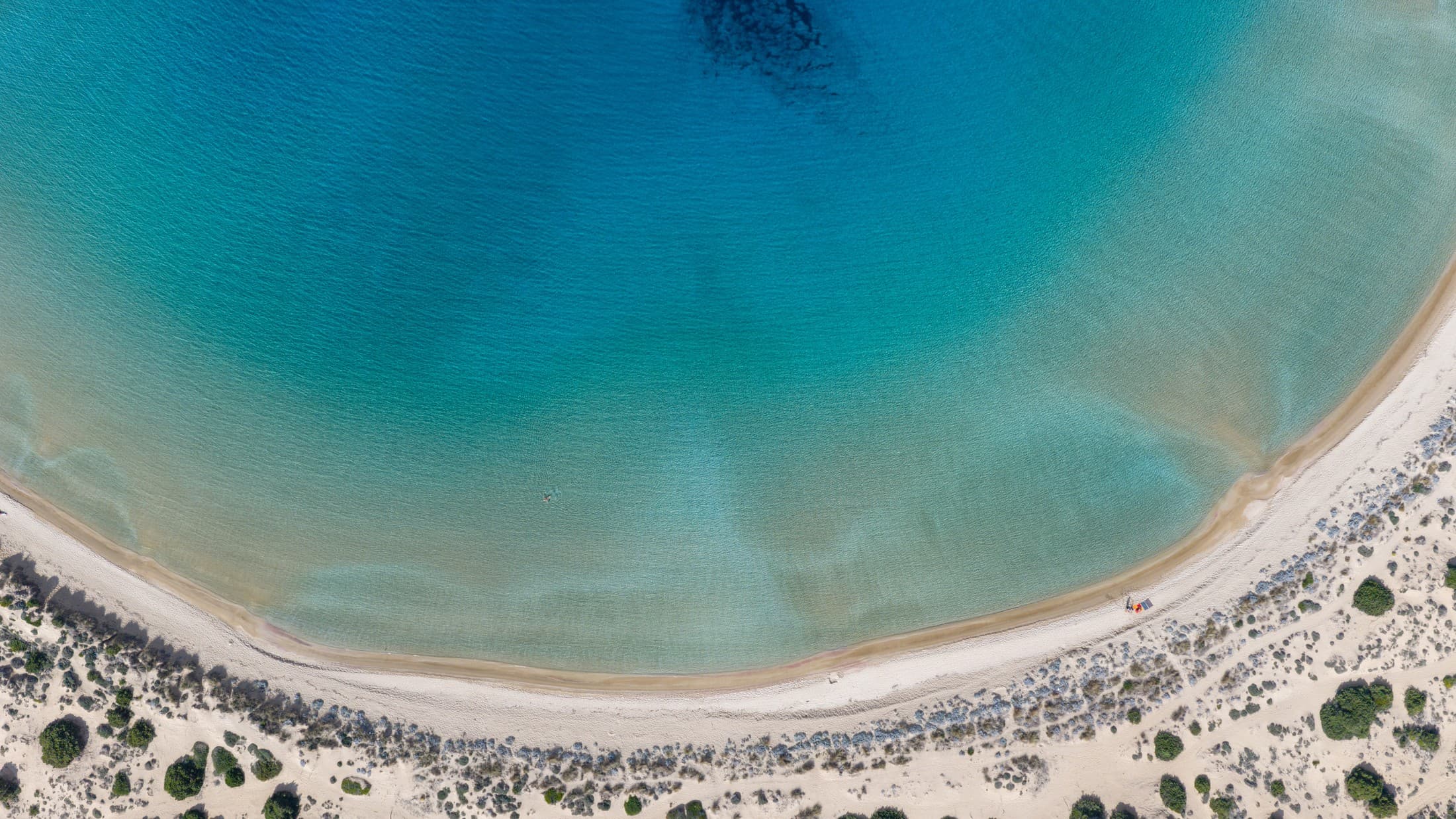 Alt text not provided