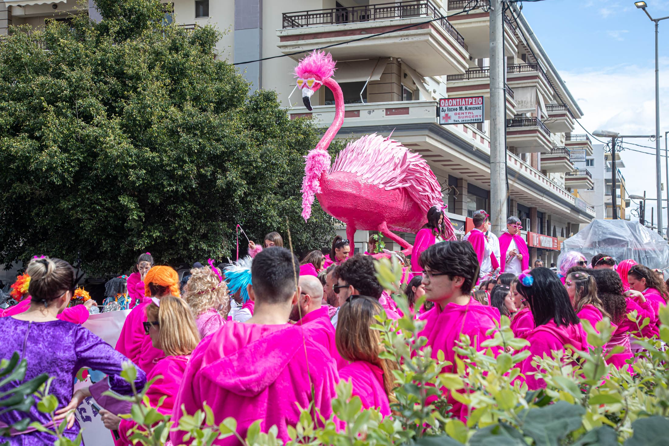 Alt text not provided