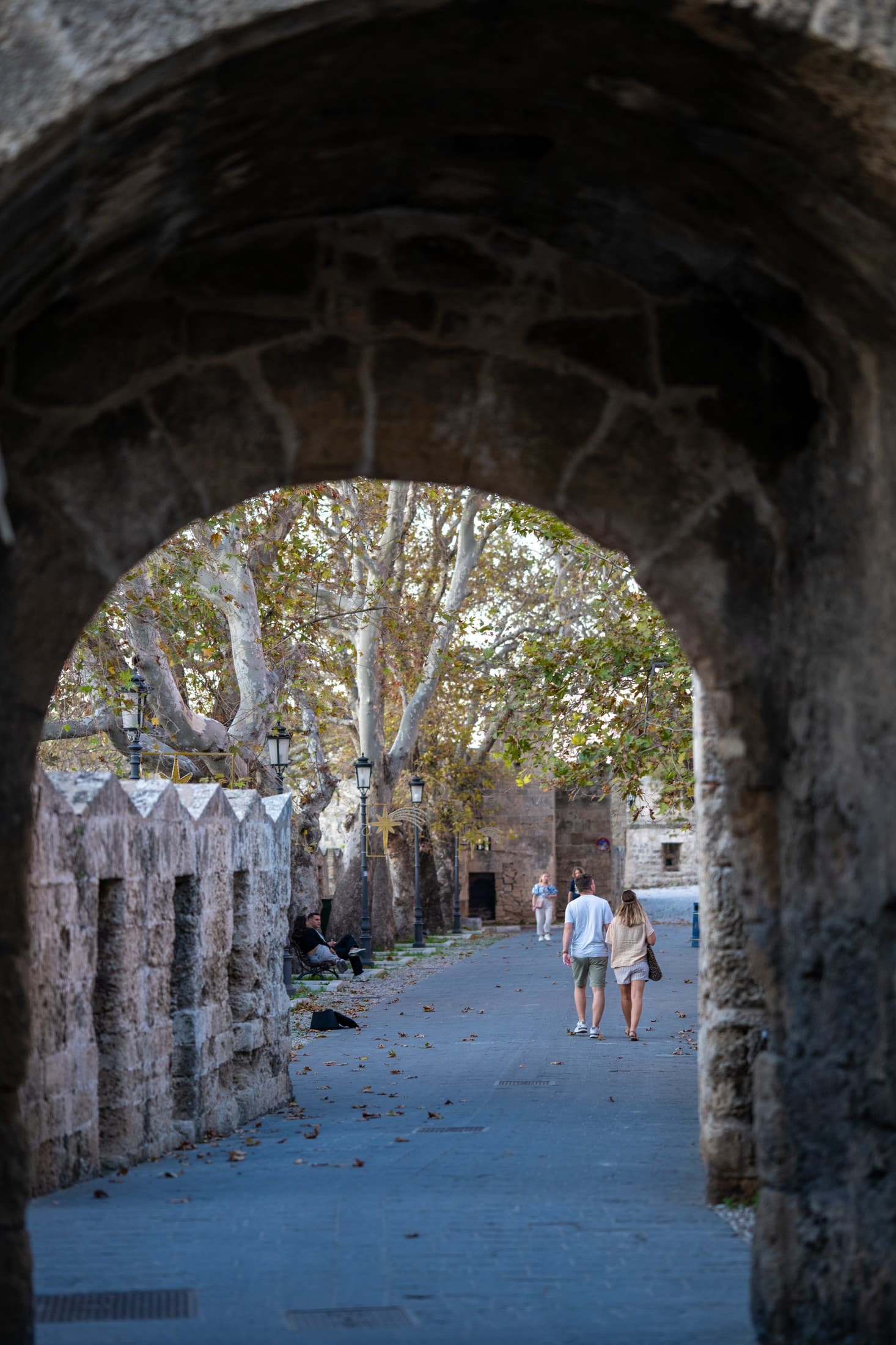 Alt text not provided