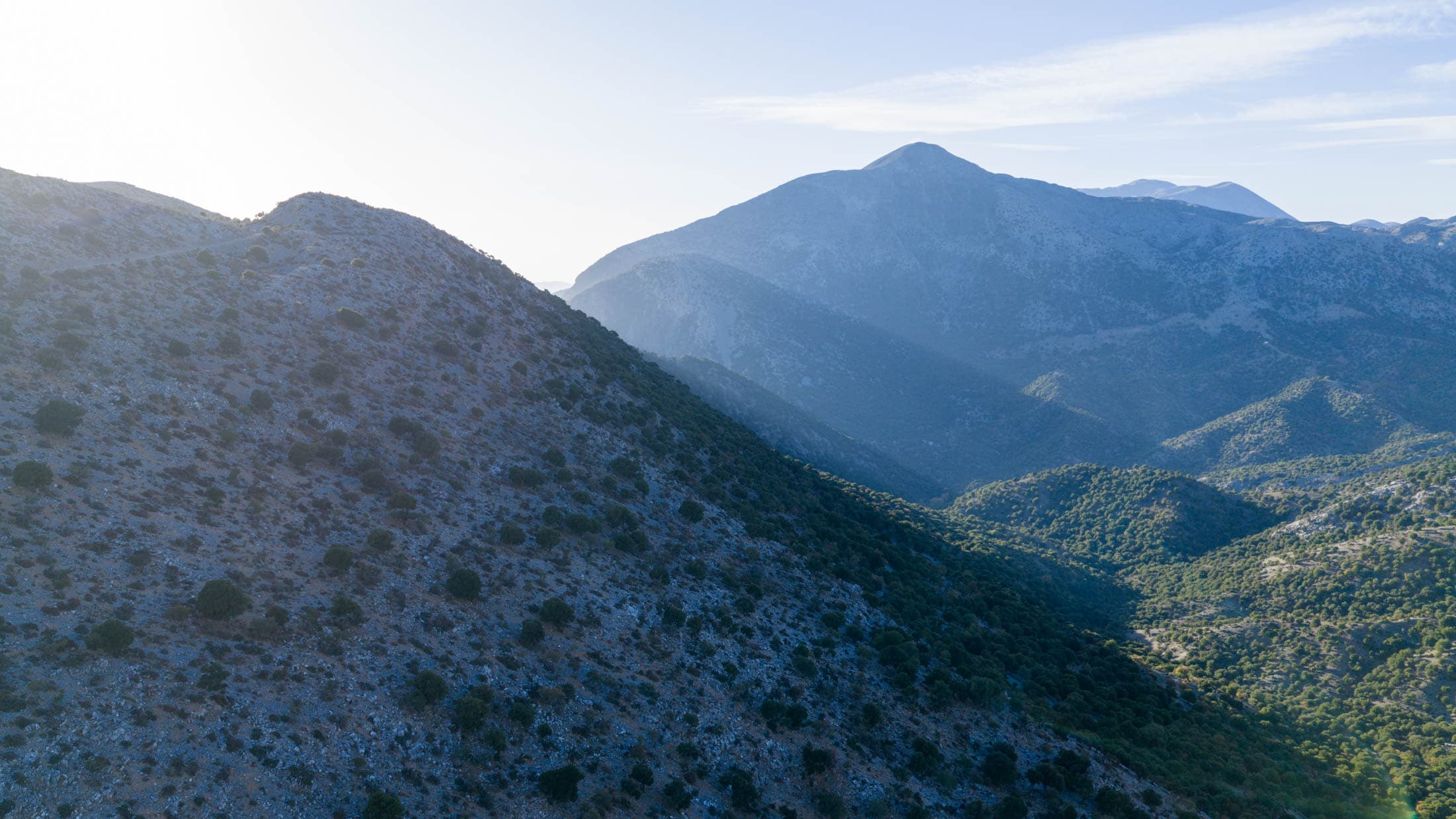 Alt text not provided