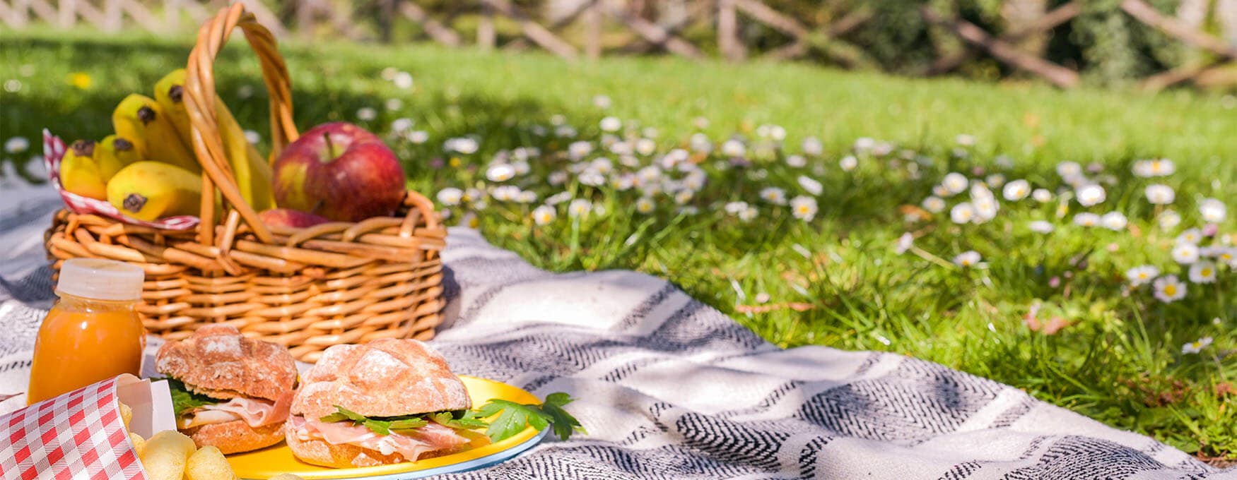 Picnic in Athens