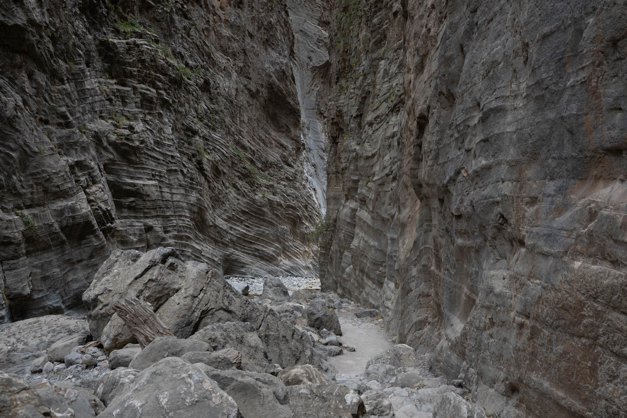 Alt text not provided