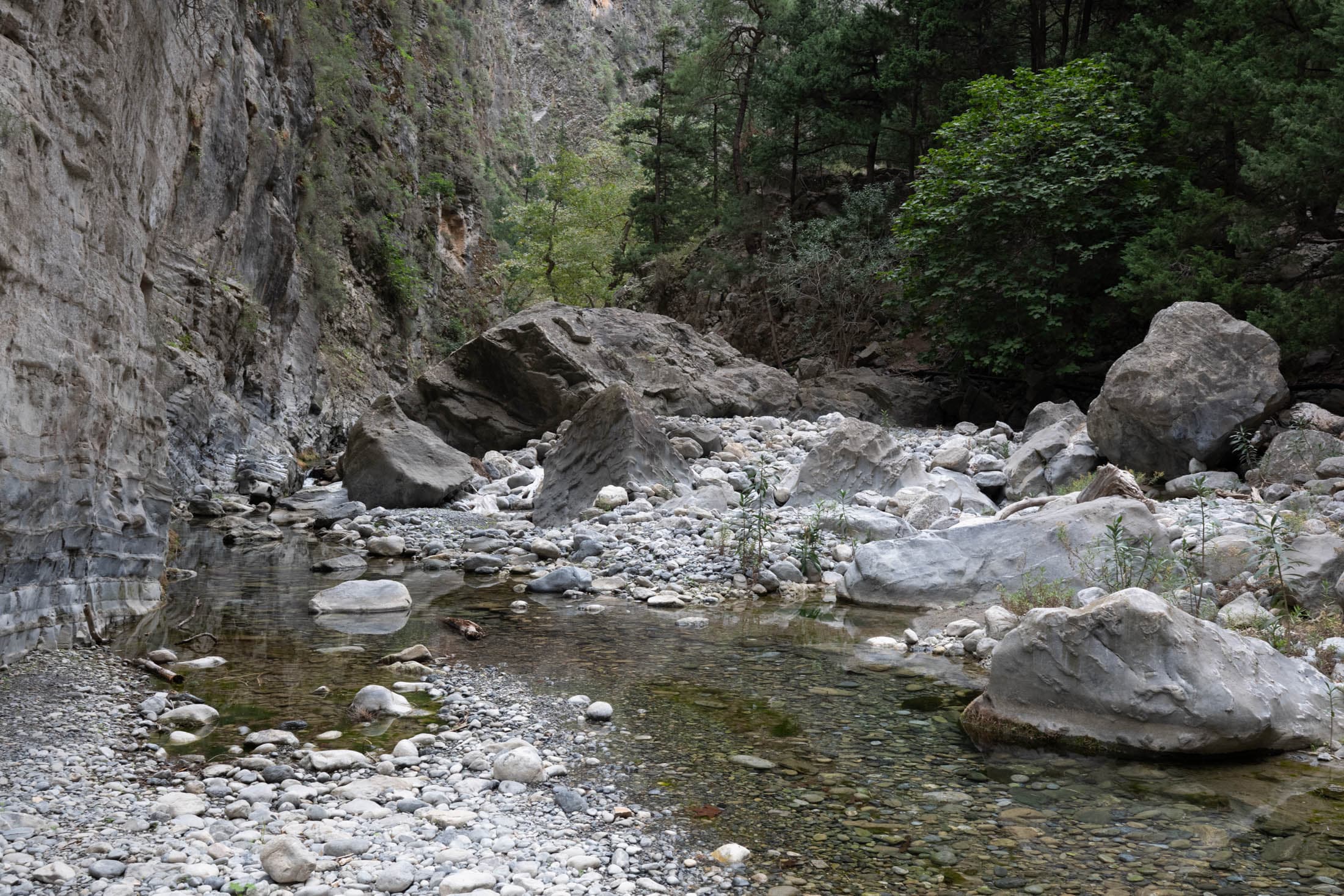 Alt text not provided