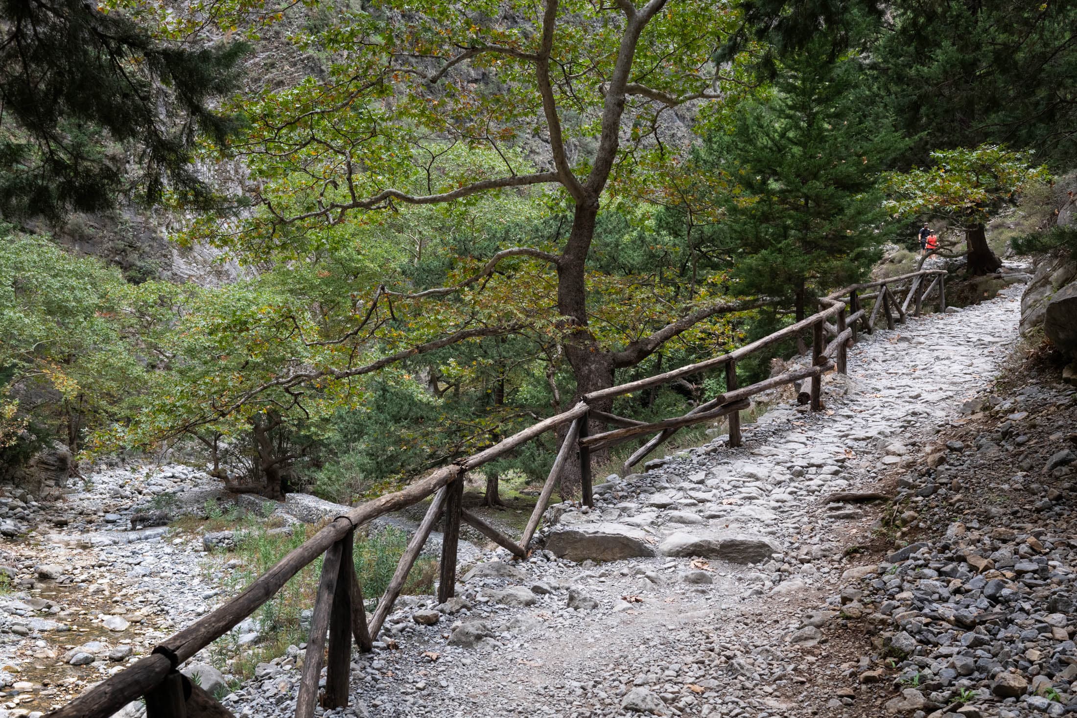 Alt text not provided