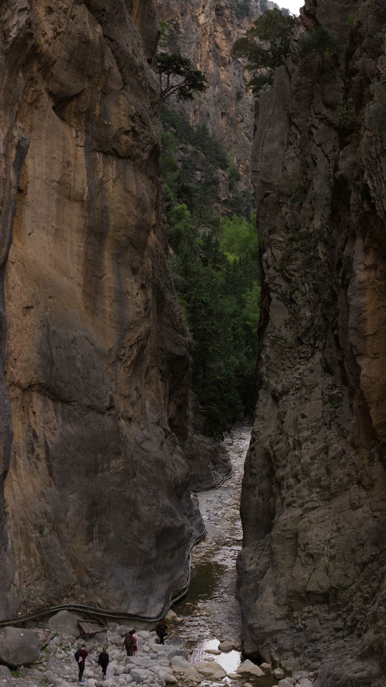 Alt text not provided