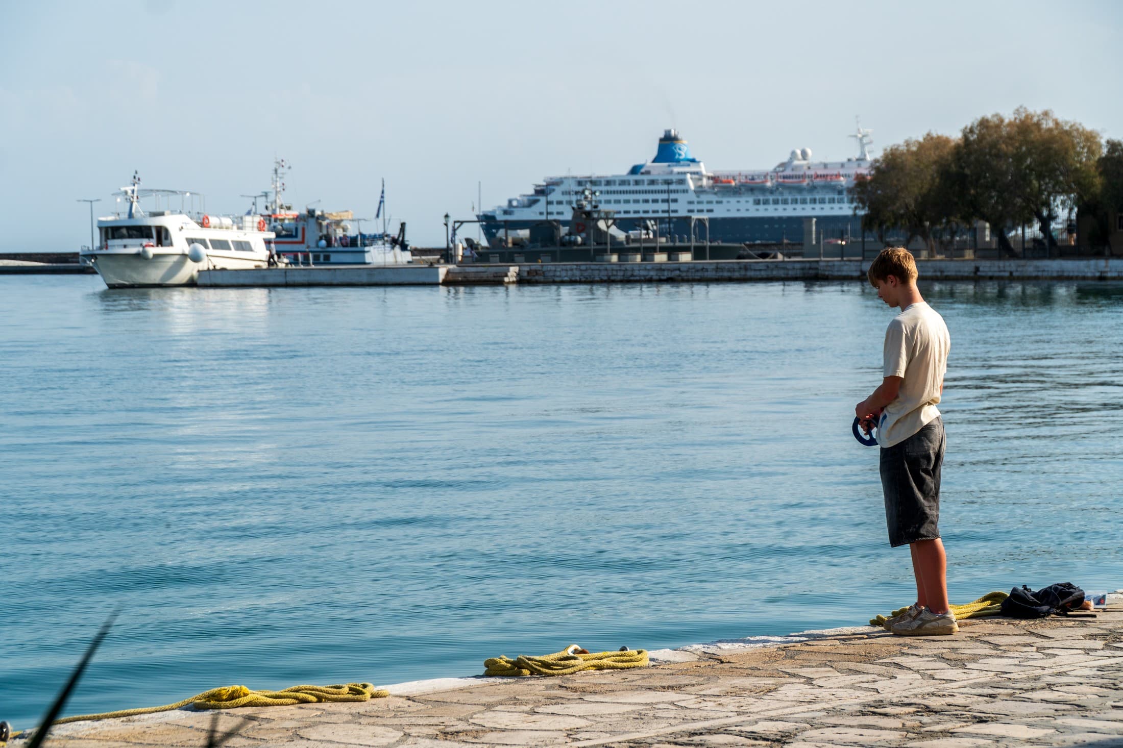 Alt text not provided