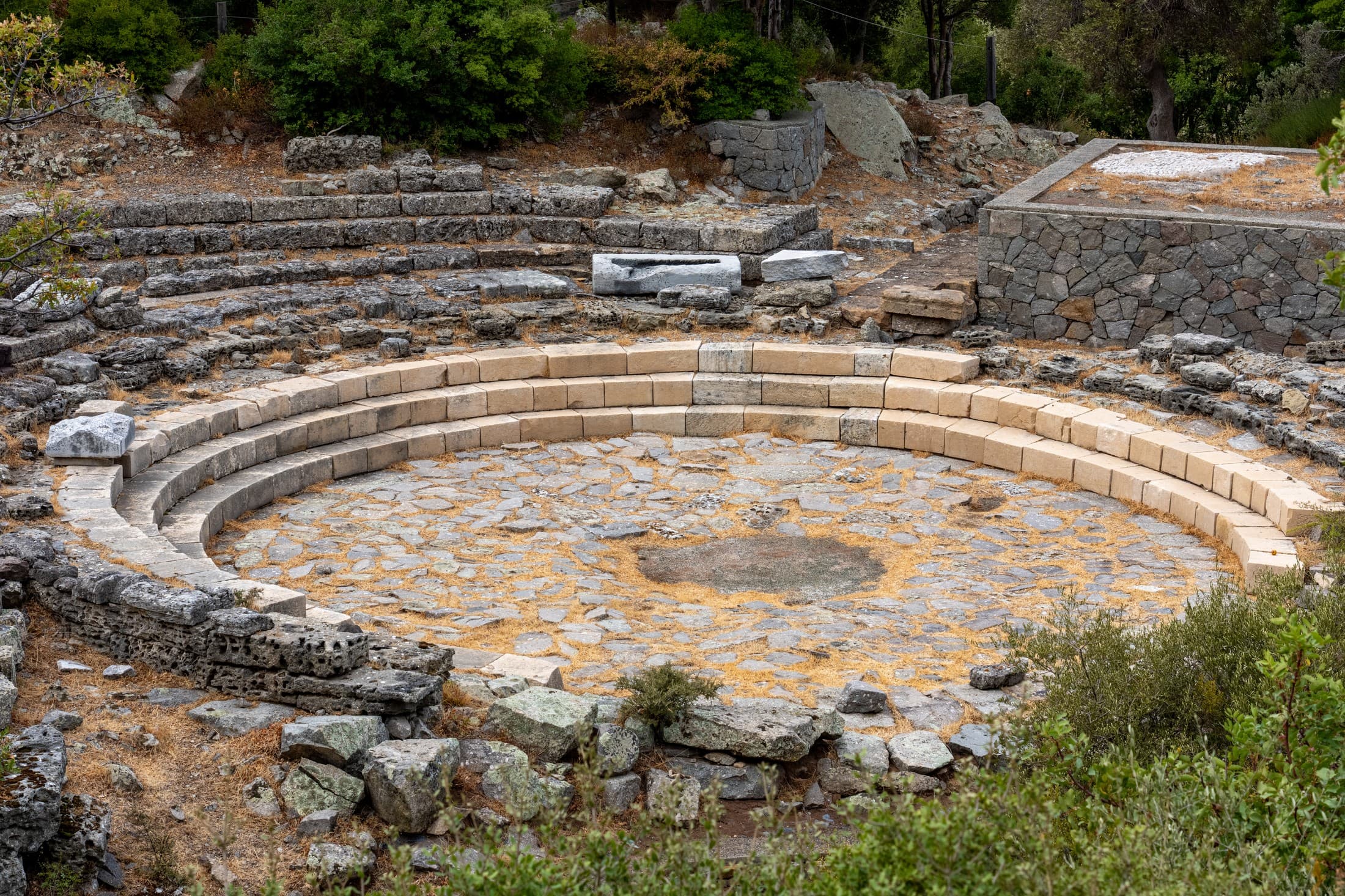 Alt text not provided