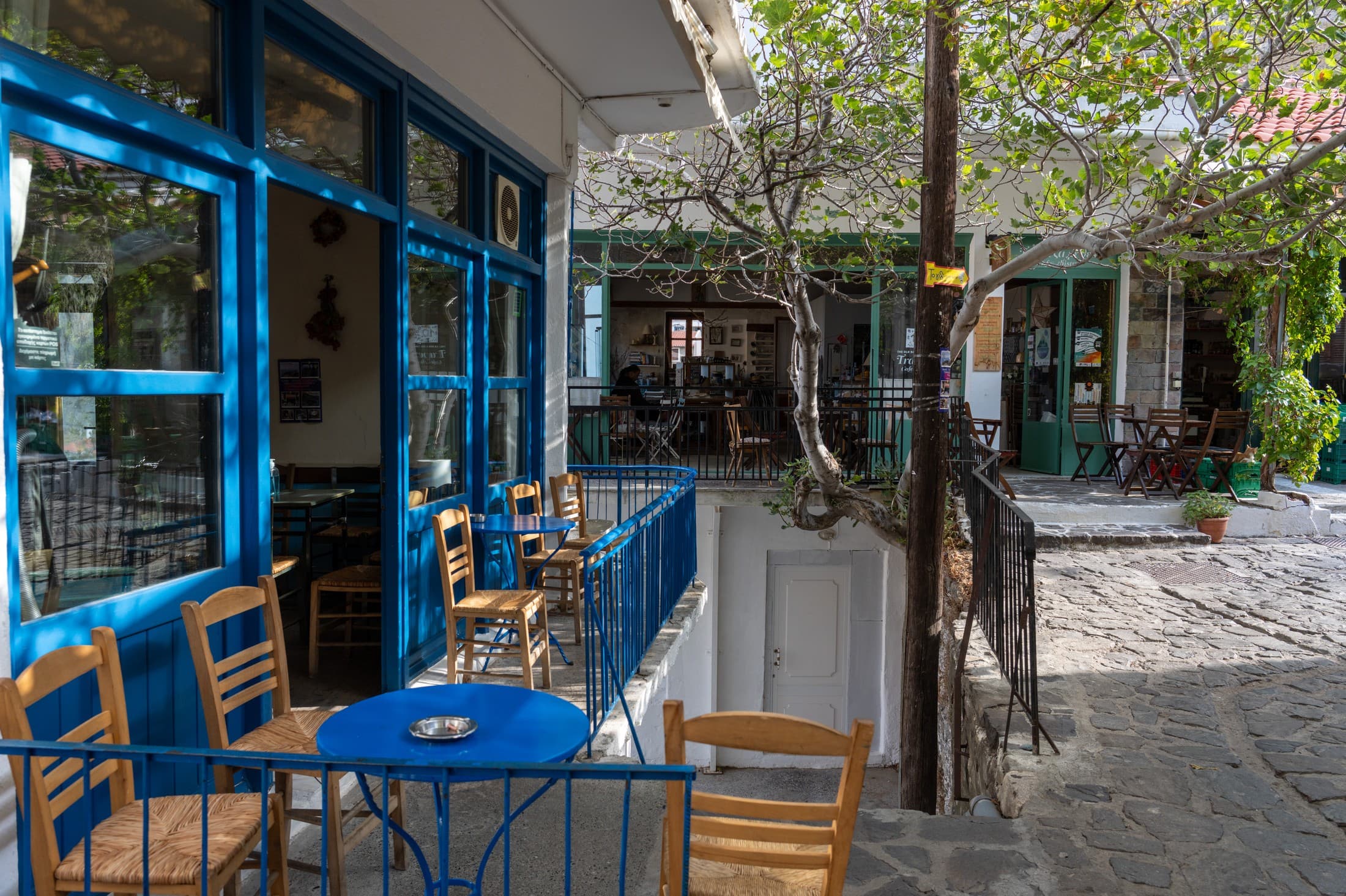 Alt text not provided