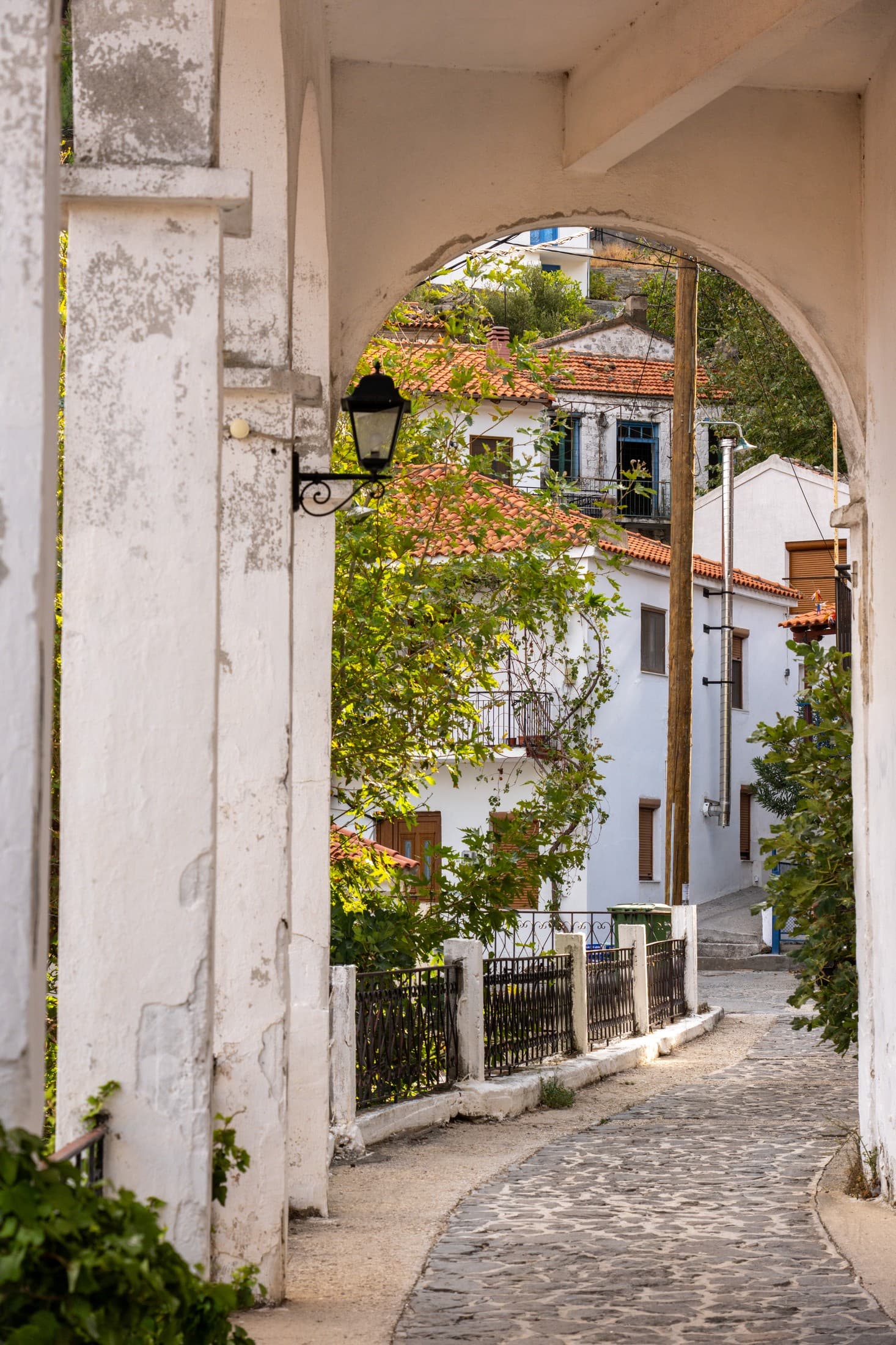 Alt text not provided