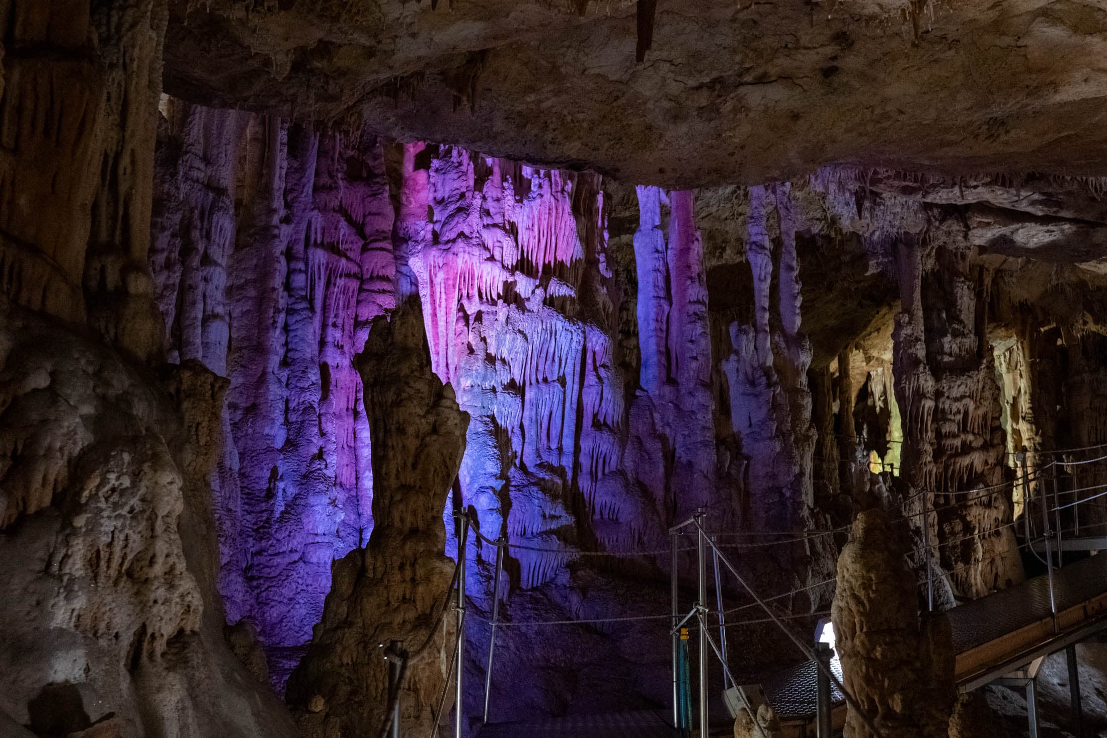 Alt text not provided