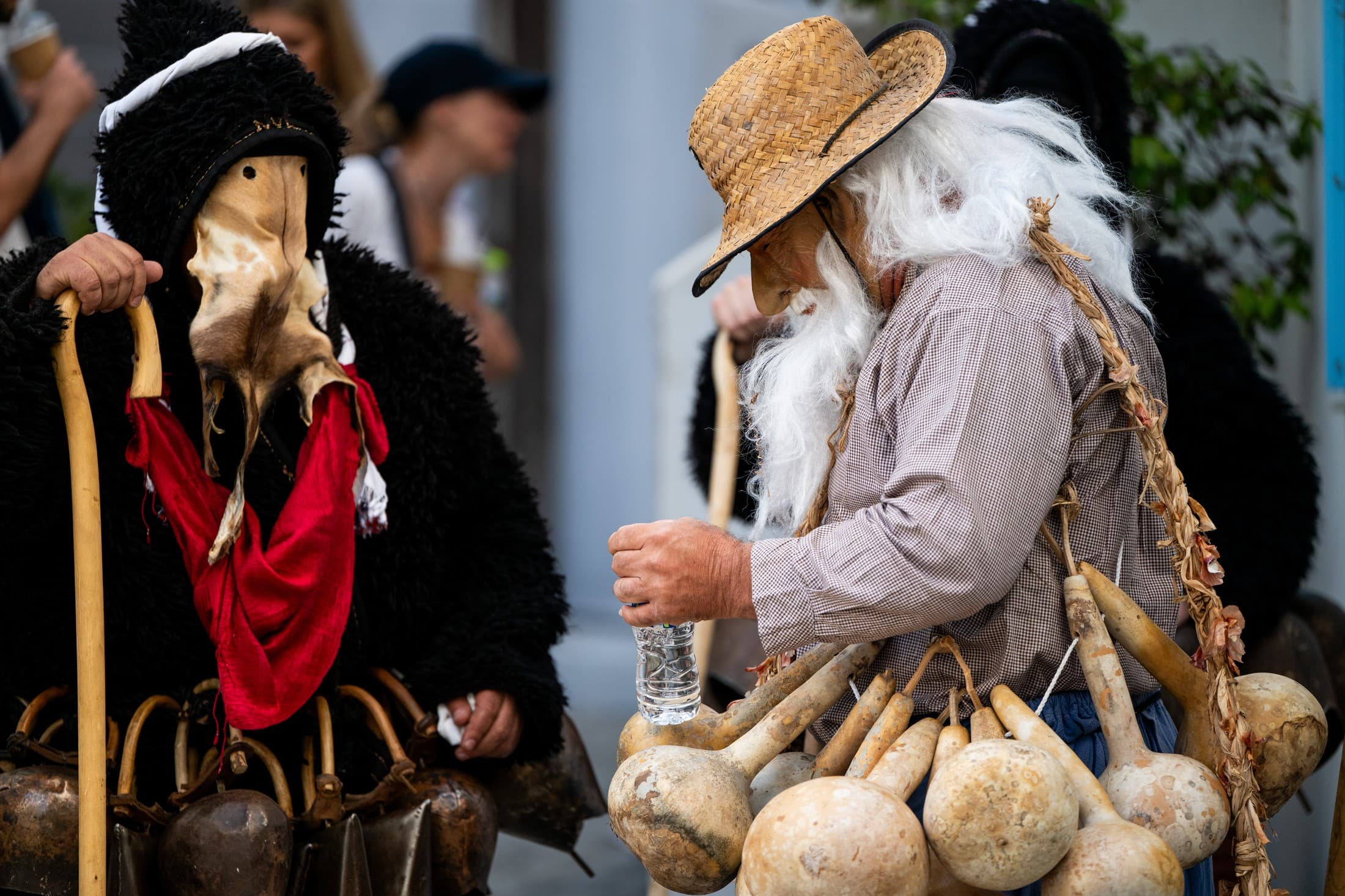 Alt text not provided