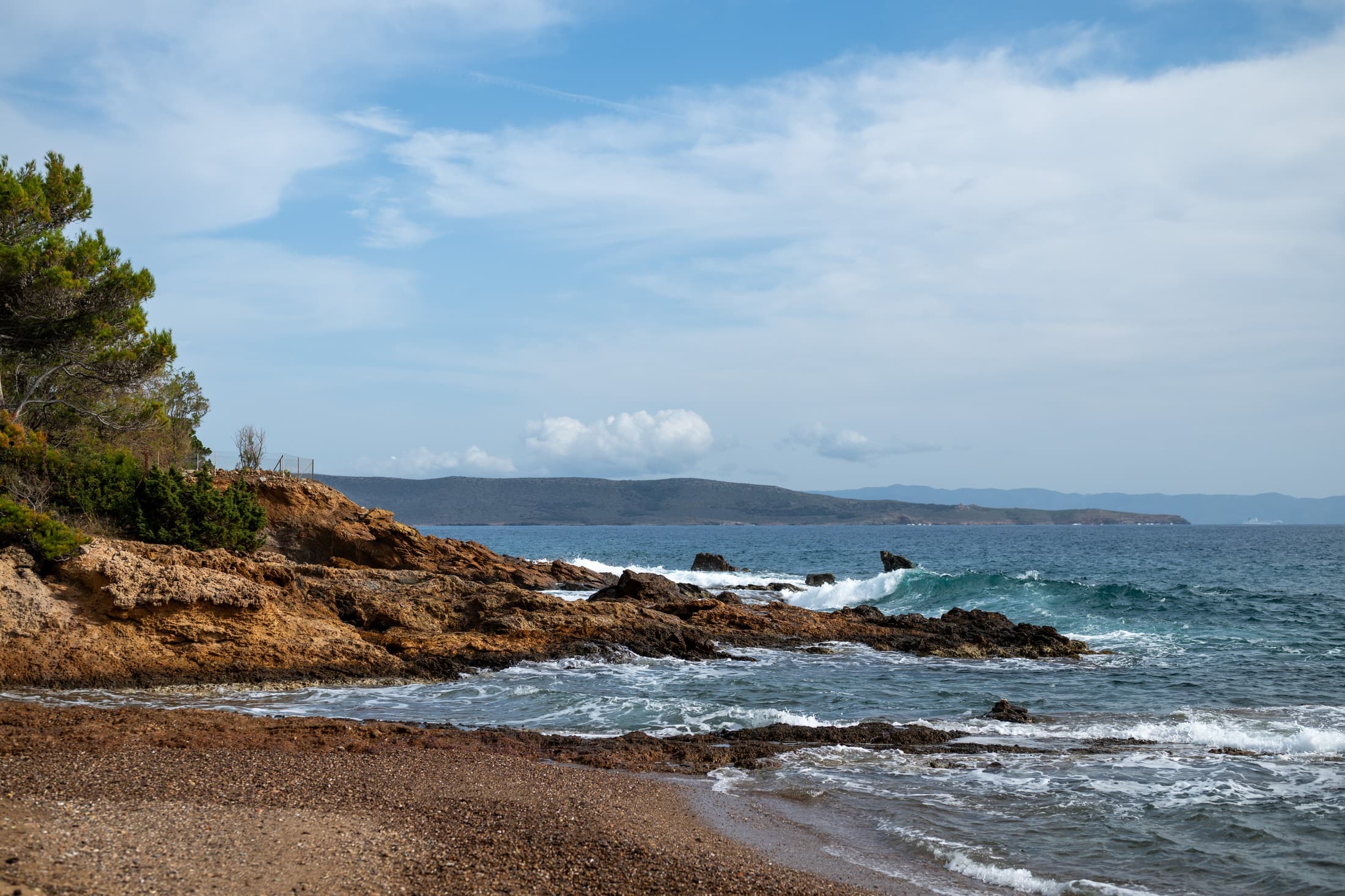 Alt text not provided