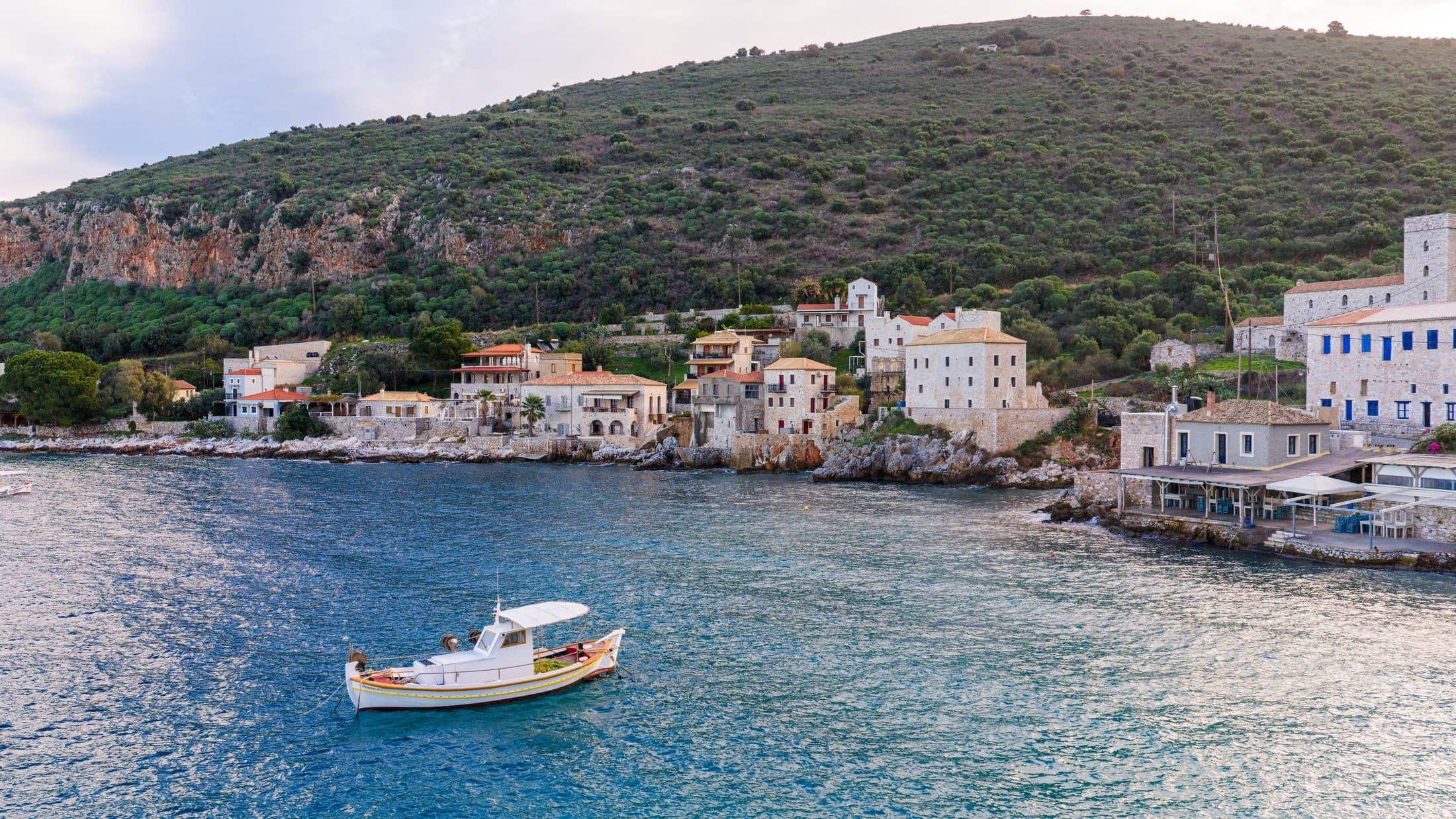 Alt text not provided