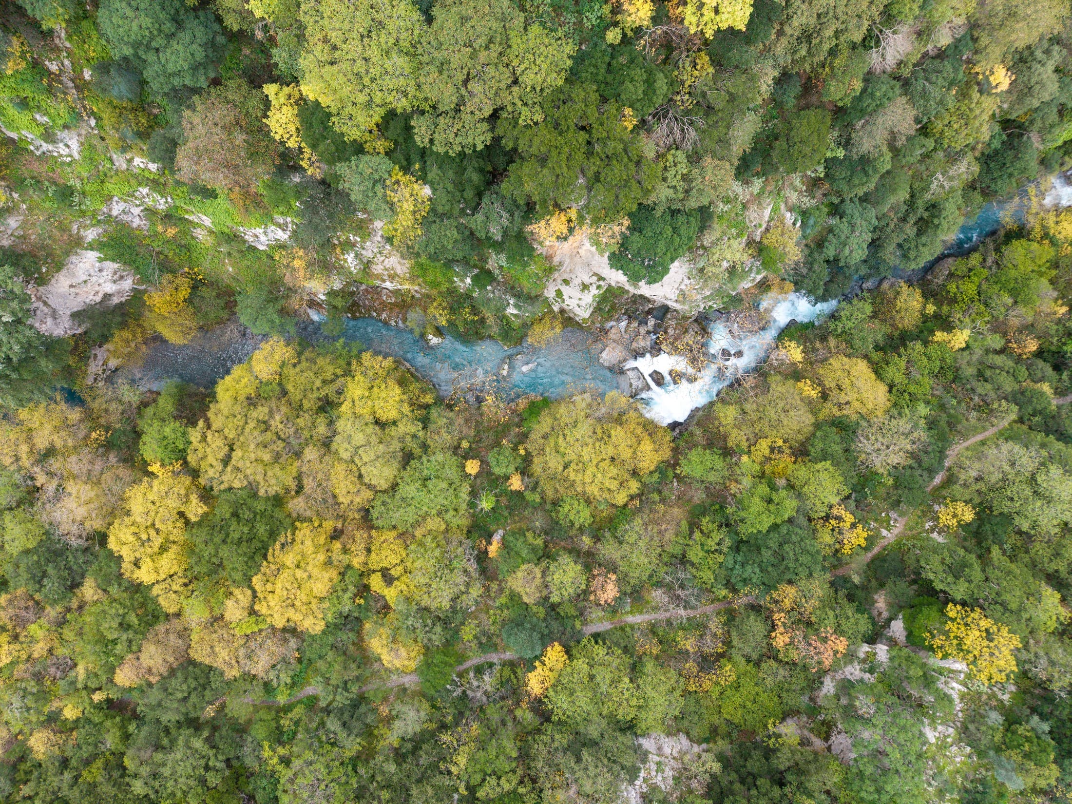 Alt text not provided