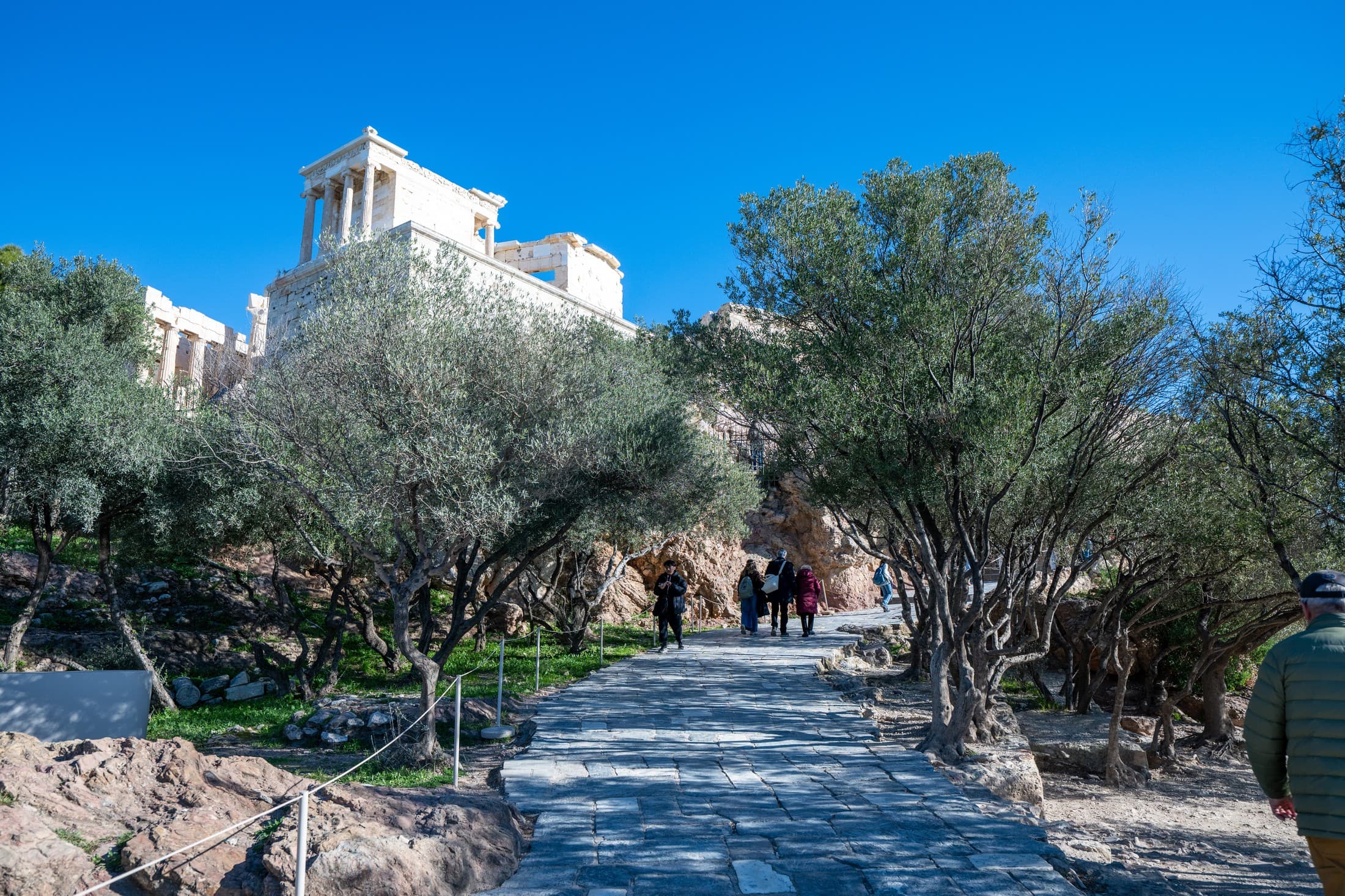 Alt text not provided