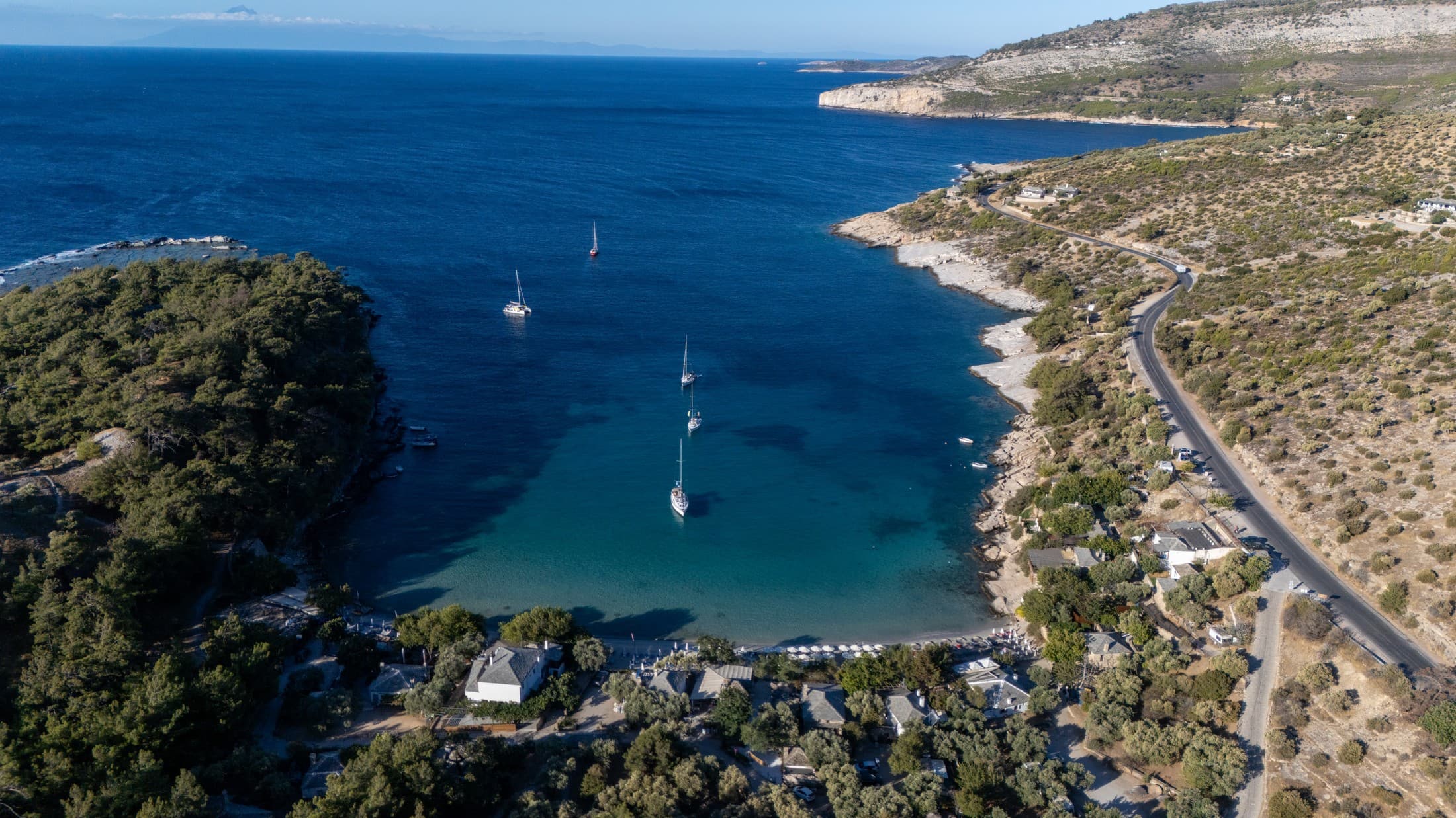 Alt text not provided