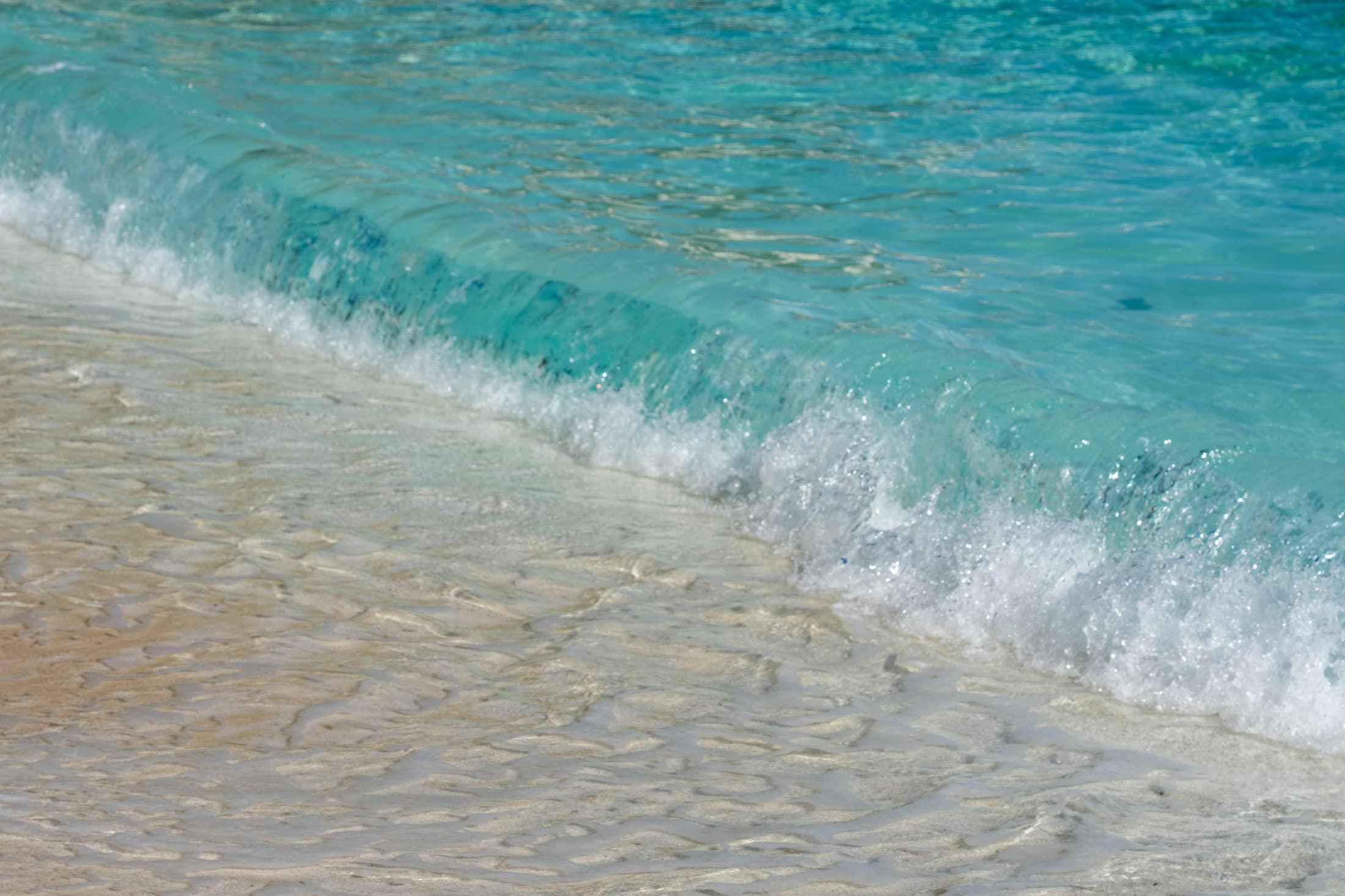 Alt text not provided