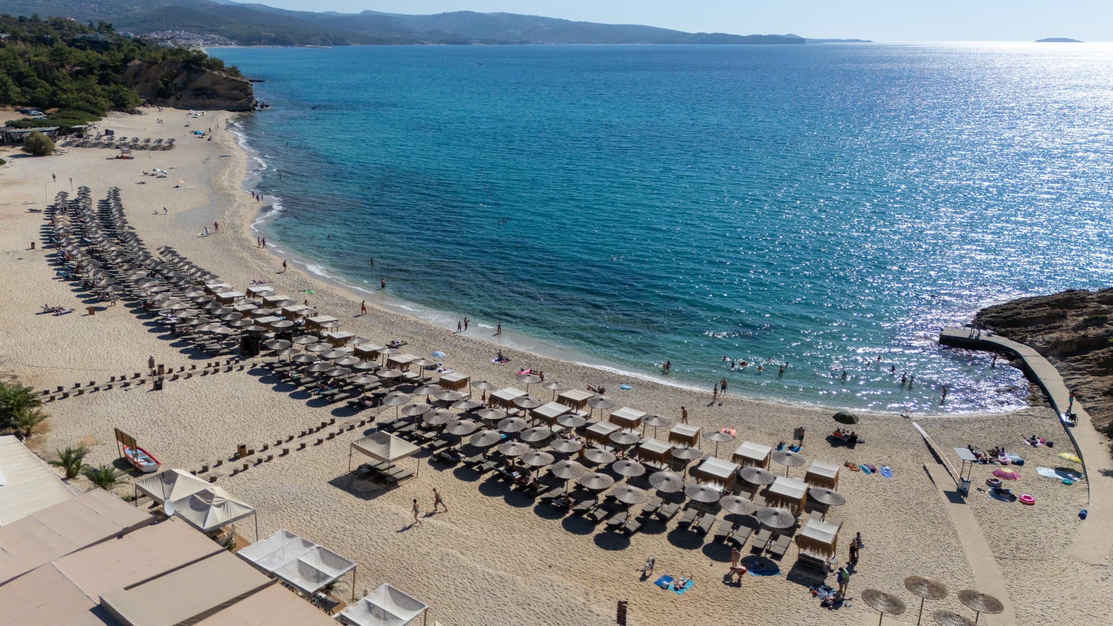 Alt text not provided