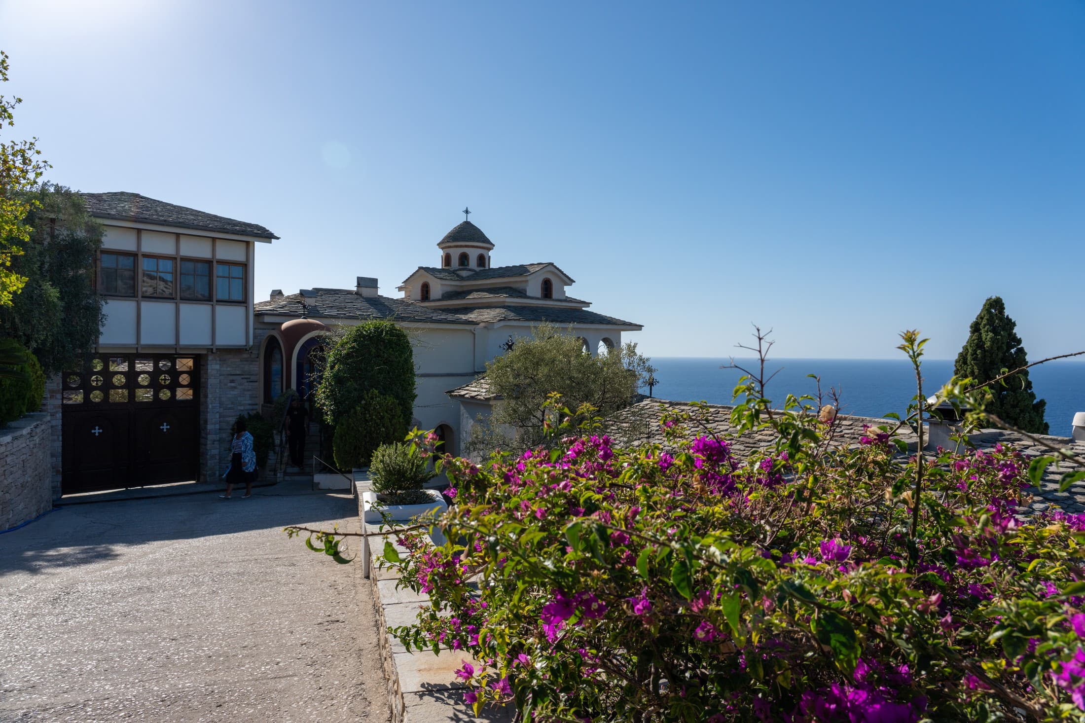 Alt text not provided