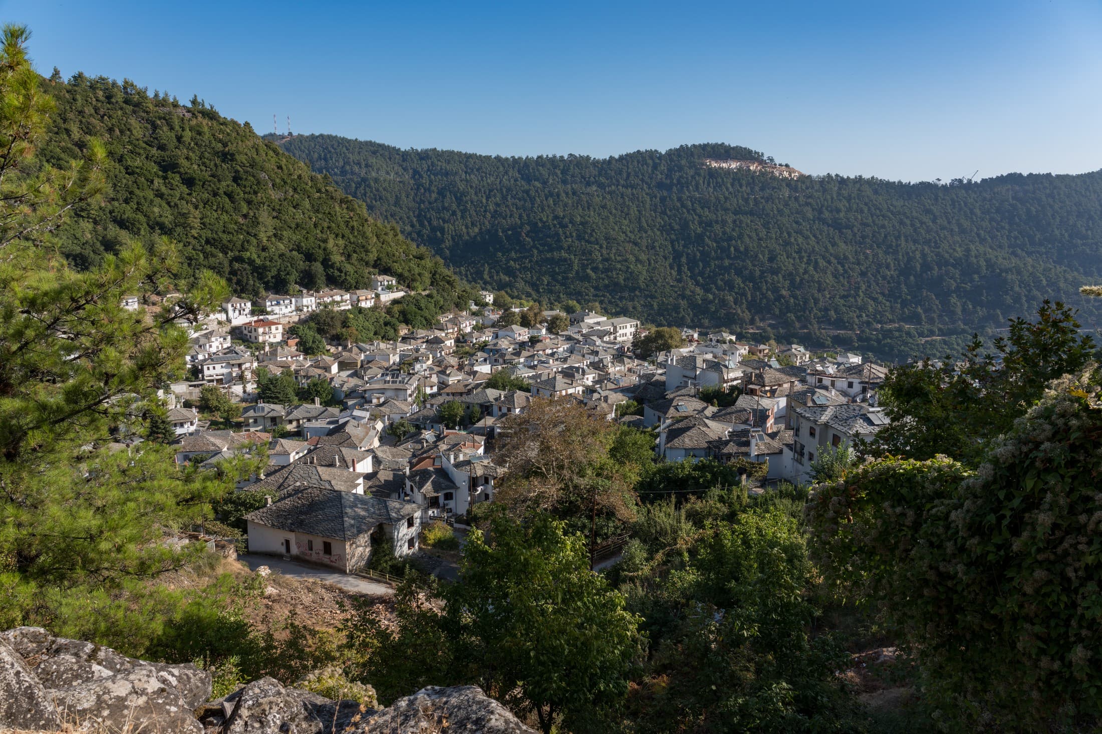 Alt text not provided